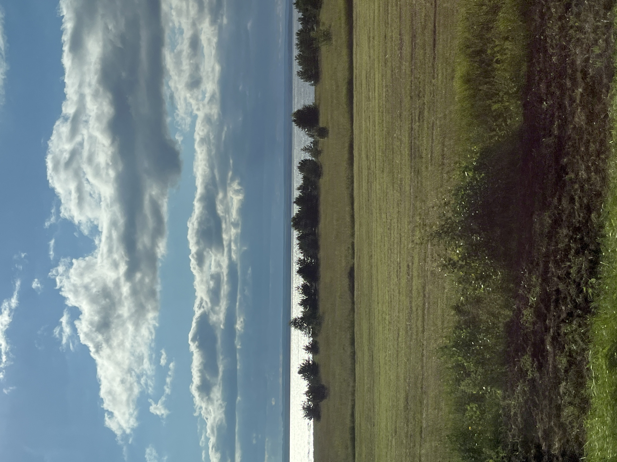 The image depicts a rural landscape under a cloudy sky. In the foreground, a freshly tilled field shows dark brown soil interspersed with green grass. Beyond this, a large expanse of mown grass fills the middle ground. A line of trees, predominantly coniferous, forms a dark border against a bright, reflective body of water, likely a lake or sea, which occupies the upper middle section of the image. The sky above is a mix of blue and white clouds, with some appearing dark and heavy, suggesting potential rain. The overall scene is serene and natural, with no people or man-made structures visible apart from the implied agricultural activity in the foreground. The location is identified as Kryukovo, Russia.