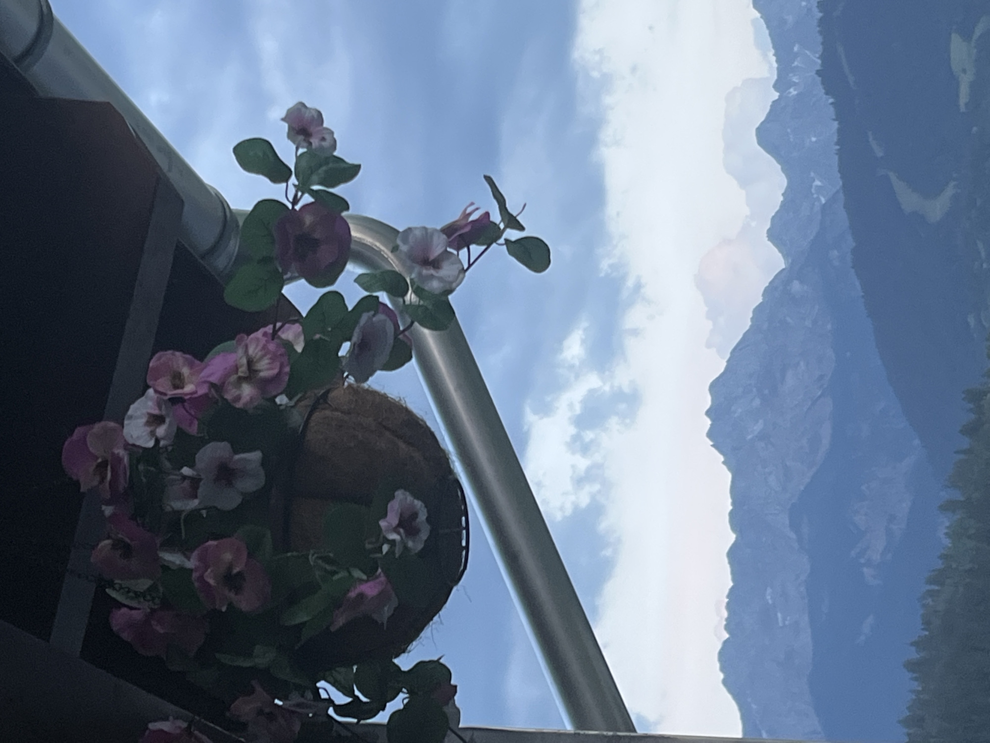 The image displays a close-up view of a hanging basket filled with pink and purple flowers, suspended from a metallic railing against a backdrop of a cloudy blue sky and majestic mountains. The foreground is dominated by the flowers and the dark structure supporting the railing. The mountains, likely the Alps given the location context of Garmisch-Partenkirchen, Germany, are visible in the distance, shrouded in a soft, hazy light, suggesting it might be late afternoon or early evening. The overall mood is tranquil and serene, with the natural beauty of the mountains contrasting with the delicate, cultivated flowers. There is no visible text in the image. The orientation of the image is portrait, with the sky and mountains occupying the upper right and lower right quadrants, while the flowers and railing are in the upper left and lower left quadrants.