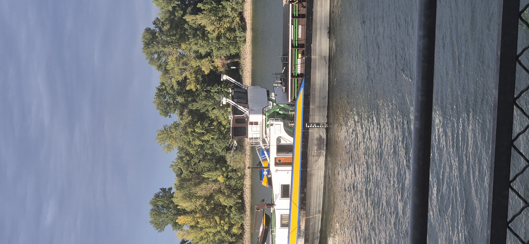 This is a vertical, medium-shot, eye-level photograph taken from a walkway or bridge overlooking a river. The main subject is a barge or cargo ship on the water, positioned slightly left of center. The barge has a white superstructure with a dark-tinted, multi-paneled windowed cabin at the rear. A green crane-like structure is attached to the side of the superstructure. The hull of the barge is dark gray with a prominent horizontal stripe that is yellow in the front half and transitions to blue in the rear half. A dark cargo section with green railings is visible at the stern, and a number, "04060610", is printed on its side. A black-and-white water depth gauge is affixed to the side of the hull. A single person, dressed in dark clothing, is walking along the stern of the barge. The river is a choppy, dark gray-blue, with light reflecting off the ripples. In the background, a densely treed shoreline with a mix of green and yellow foliage lines the riverbank, suggesting autumn. The sky above is a pale blue with wispy, thin clouds. The foreground shows a dark, weathered metal railing and a diamond-patterned metal fence. The photograph appears to have been taken in Mainz, Germany, likely along the Rhine River, given the characteristic barges and the tree line common to the region.