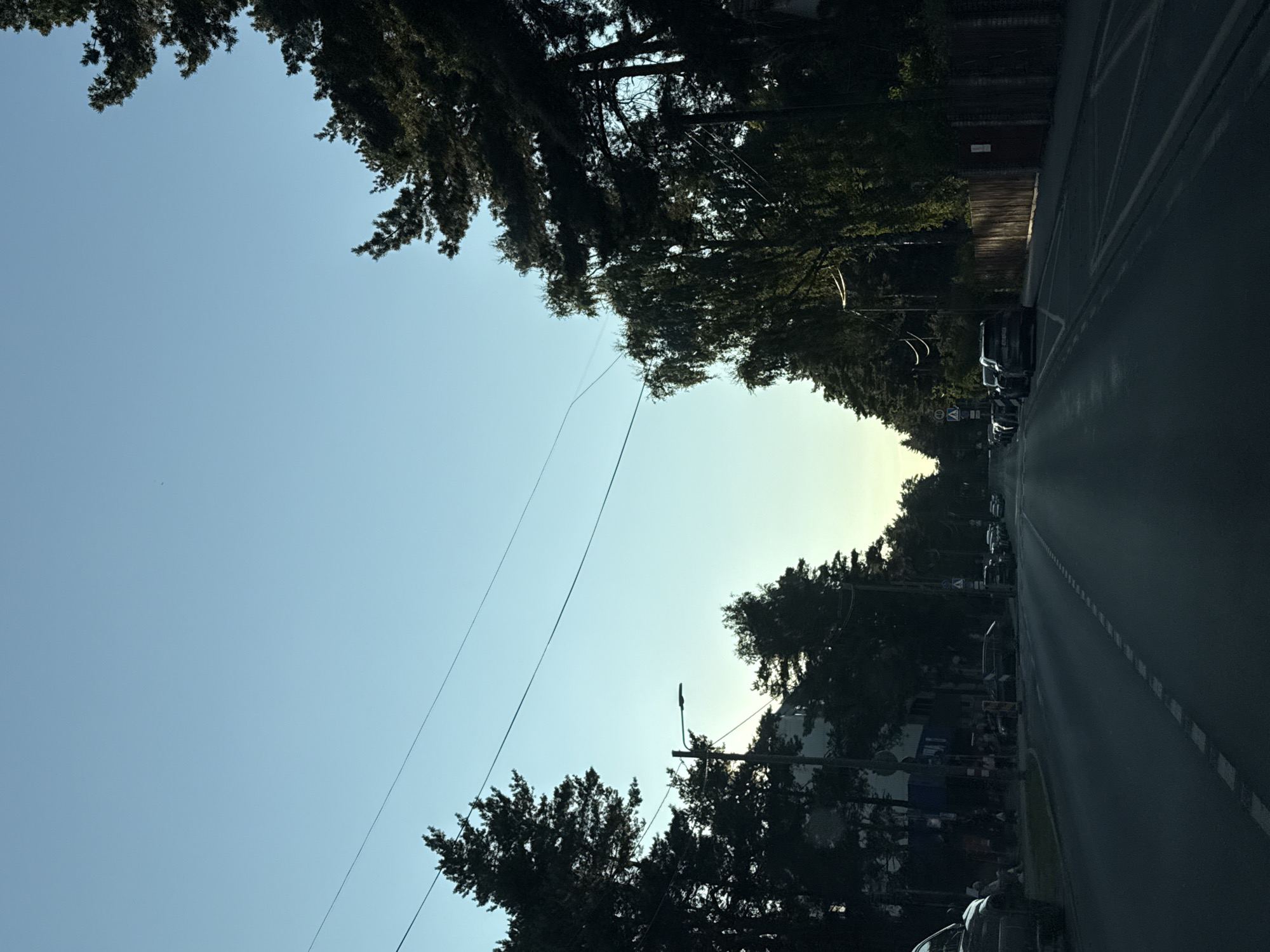 The image depicts a street scene in Tallinn, Estonia, at dusk. The perspective is from within a vehicle, looking forward down a paved road lined with trees on both sides. The sky is a clear, pale blue, transitioning to a lighter hue near the horizon, suggesting the setting of the sun.
On the left side of the road, there are buildings with dark facades, interspersed with trees. Several cars are parked along the sidewalk. A few individuals are visible sitting on a low wall or steps in front of one of the buildings. A streetlamp is mounted on a pole on the left side of the road.
The right side of the road features a dense line of trees and a wooden fence. More cars are parked along the right side of the road, and the street appears to be a two-lane road with markings. The road surface is asphalt and shows some reflections of light, indicating it might be slightly wet or polished.
The overall impression is of a quiet residential or suburban street at the end of the day, with the natural light softened by the approaching twilight.