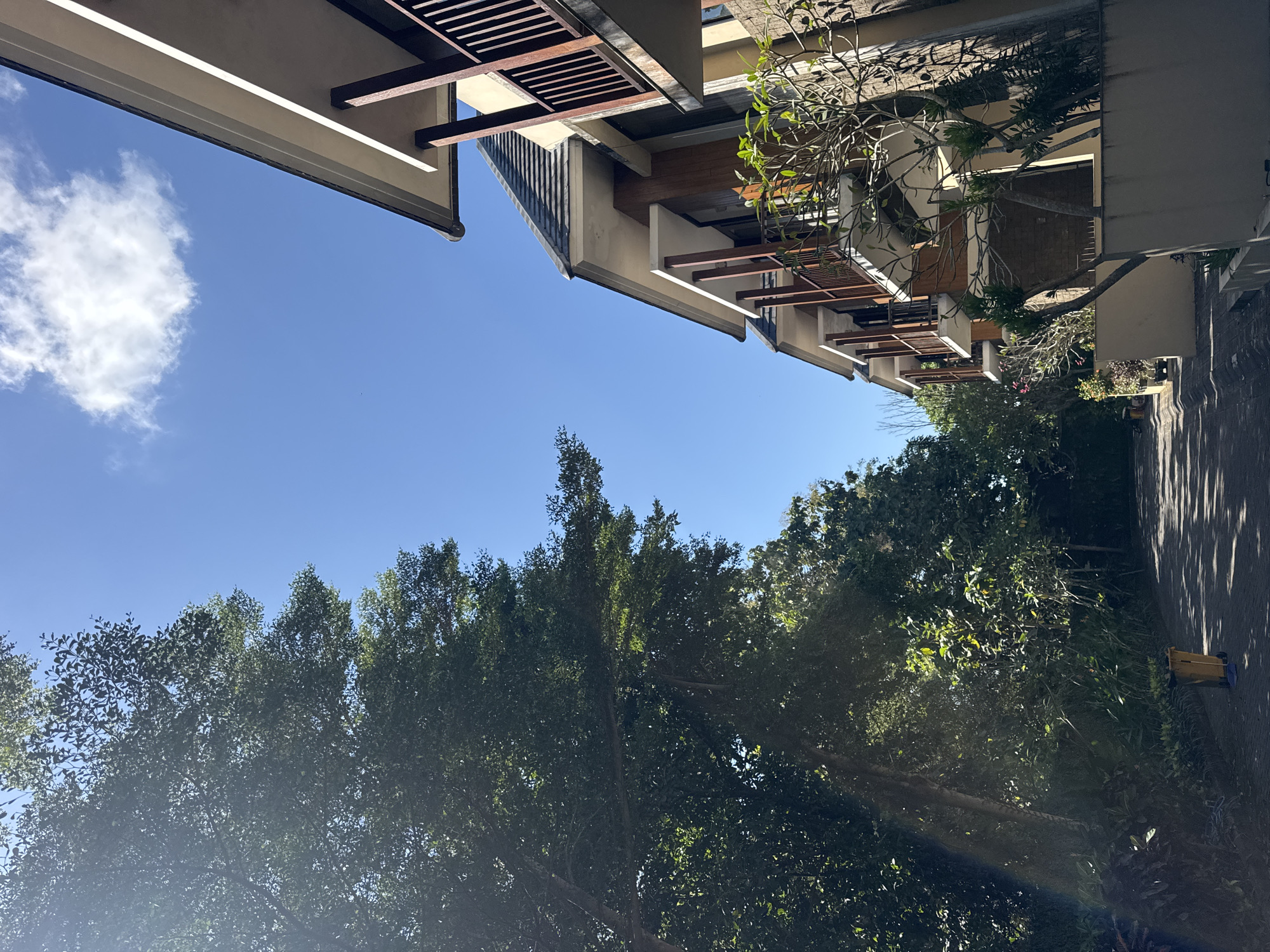 The image displays an upward-looking perspective of an outdoor scene, featuring modern architecture, lush greenery, and a bright blue sky. The upper portion of the frame is dominated by a clear, expansive blue sky, with a single prominent white cloud visible in the top left and faint wisps elsewhere.
On either side of the sky, parts of contemporary buildings are visible, angled downwards. These structures have light-colored walls, dark slatted roofs, and prominent wooden accents, including beams and balcony railings, suggesting a tropical modern design. Multiple levels and overhangs are discernible.
The lower and central parts of the image are filled with dense, green foliage from numerous tall trees, their leafy canopies extending upwards and partly obscuring the buildings on the right. Sunlight filters through the leaves, creating natural highlights and shadows. A paved area is visible on the far right, showing distinct long shadows cast by unseen elements, suggesting it might be a pathway or courtyard. A yellow and blue wheeled utility or trash bin is situated on this paved area in the bottom right corner.
The scene is brightly illuminated by natural light, indicating a sunny day, likely morning or early afternoon due to the clarity of the sky and the sharp shadows. No people are present. The combination of modern architecture and tropical vegetation strongly suggests a resort or residential setting in a warm climate, consistent with Kuta Selatan, Indonesia. There is no visible text in the image.