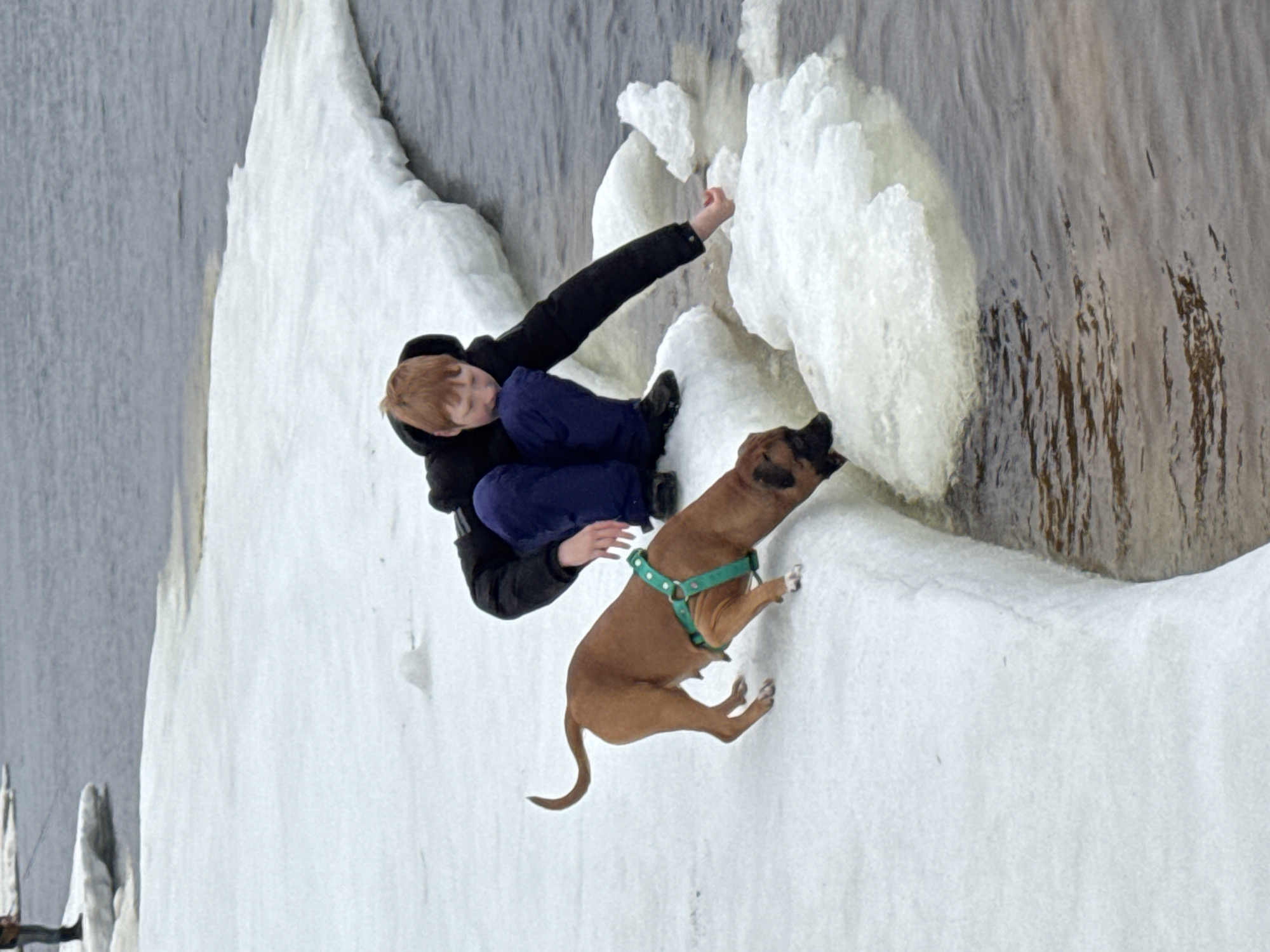 A juvenile with red hair and blue pants is suspended between a dog with a green harness and a snowy ice formation in front of a body of water. The juvenile is wearing a black jacket and reaching for the ice with one hand. The dog is leaning towards the ice. The location is Noviy, Russia.