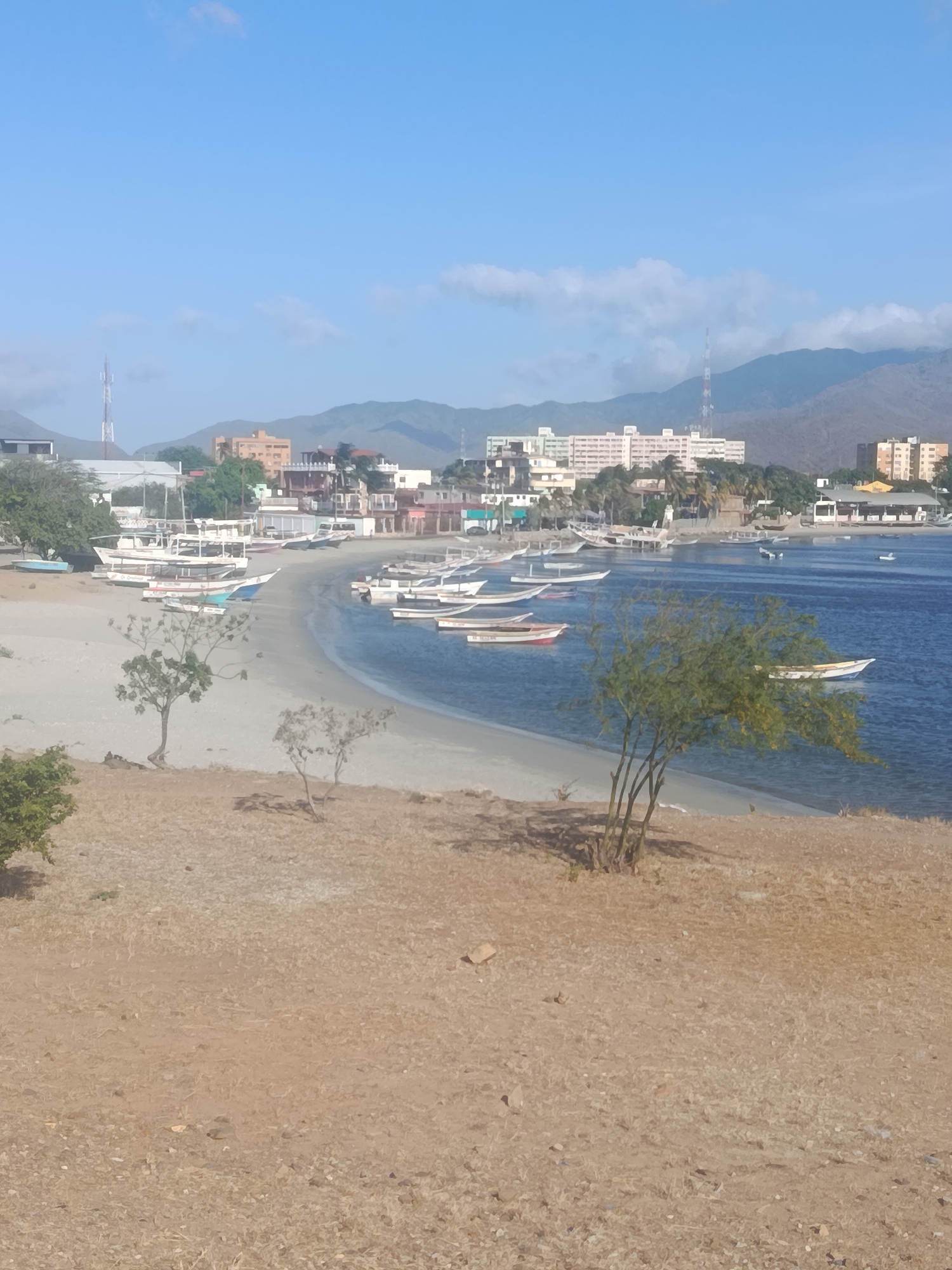 The image depicts a coastal scene in Juan Griego, Venezuela. In the foreground, there's dry, arid land with sparse vegetation. A sandy beach curves along the shoreline, with numerous small boats docked or anchored in the calm water. Buildings of various sizes and styles are visible along the shoreline, indicating a town or city. Mountains form a backdrop in the distance, under a clear, blue sky with some scattered clouds. There are no people visible in the image.