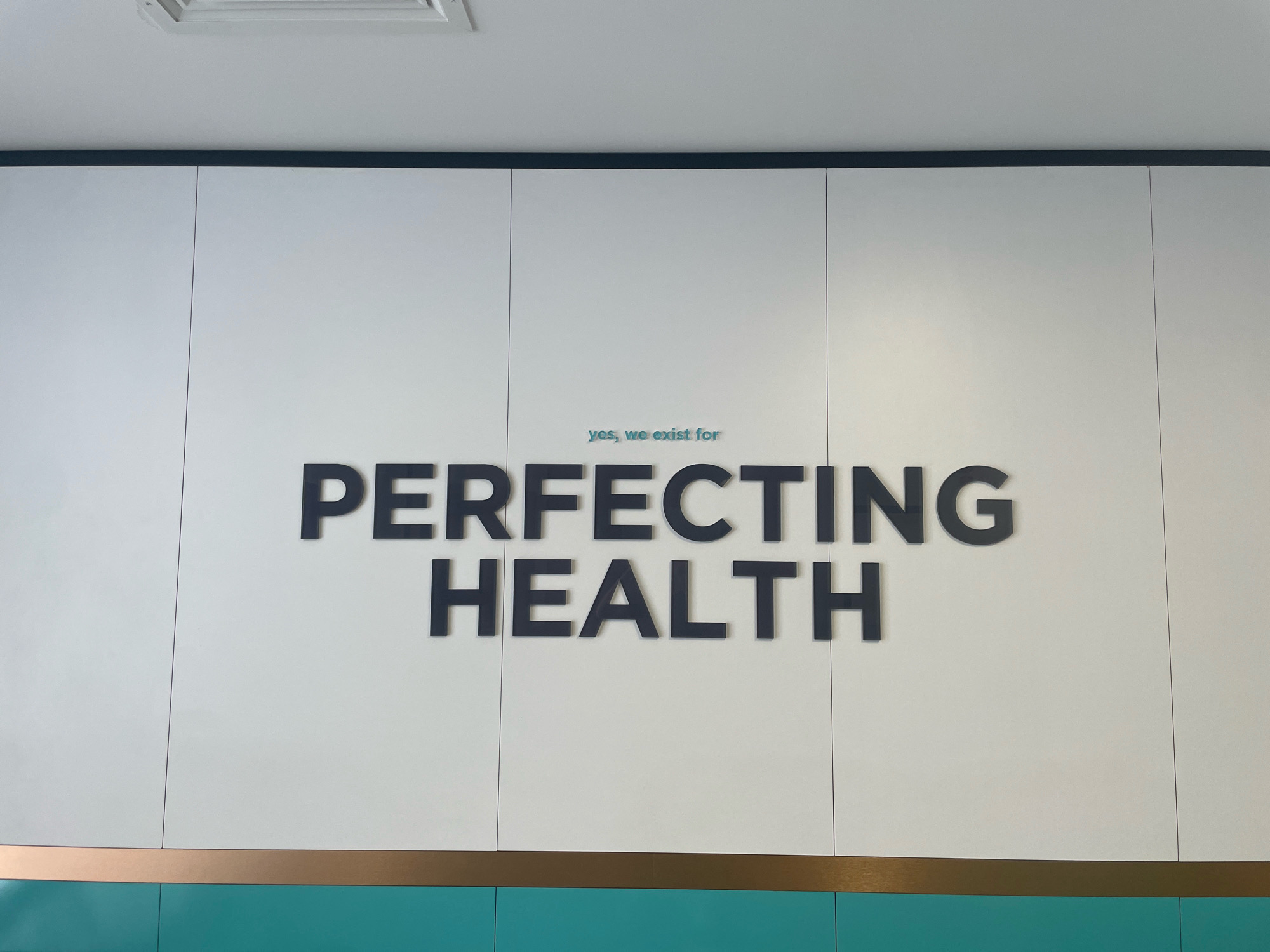 The image shows a wall with large, dark gray, three-dimensional letters spelling out "PERFECTING HEALTH". Above this, in smaller, lighter blue text, are the words "yes, we exist for". The wall itself is made of large white panels with thin dark lines separating them. A thin, metallic copper-colored strip runs horizontally just above a teal-colored section at the bottom of the wall. The scene is indoors, and the lighting suggests it could be a clinic, spa, or fitness facility. There are no people visible in the image. Based on the provided information, this scene is located in Tbilisi, Georgia.