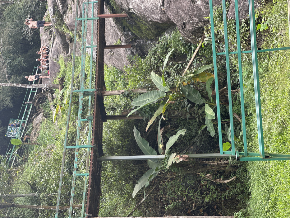 A lush, green landscape features a metal-framed bridge extending into the scene. The bridge's structure is visible, with its supports and walking platform. In the distance, people are visible on rock formations. Foliage and dense vegetation surround the bridge, emphasizing the natural environment. The overall composition suggests a tropical or subtropical setting with human interaction.