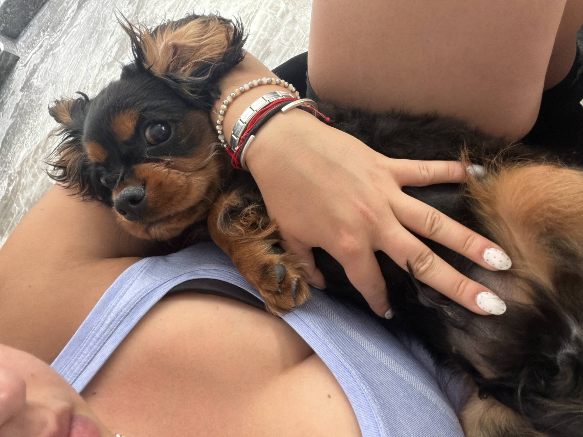 A person is holding a Cavalier King Charles Spaniel dog. The person is wearing a light blue tank top and several bracelets on their left wrist. Their hand is resting on the dog's body. The dog is black and tan. The location cannot be determined.