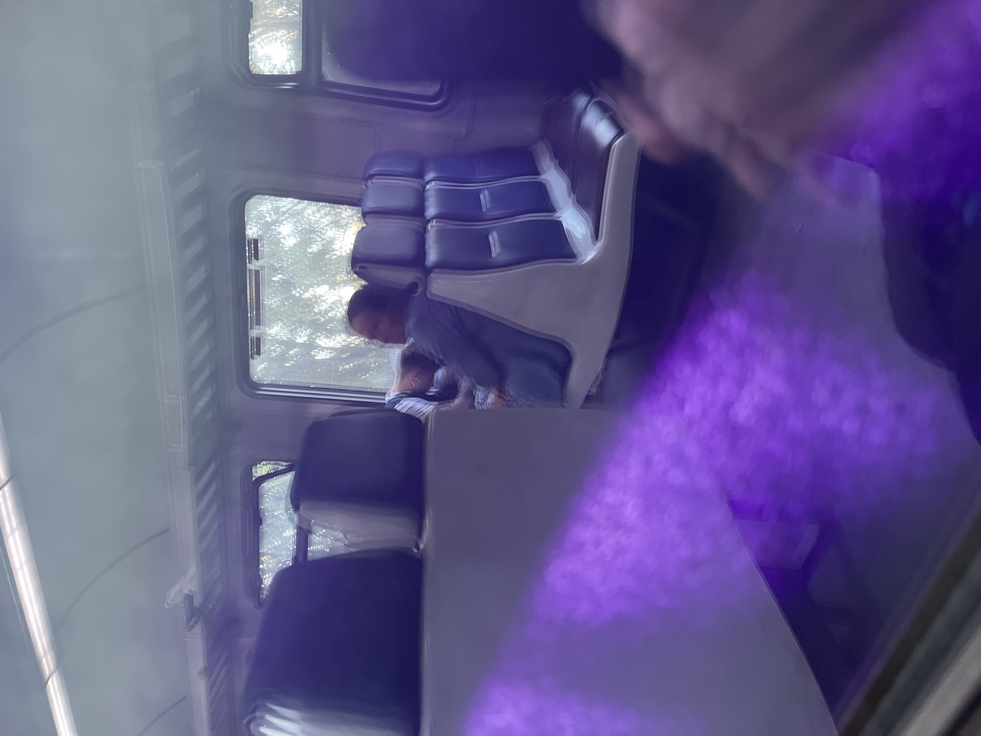 The image depicts the interior of a train car, with a focus on seating and a person. A woman is seated, looking towards the window. The seats are upholstered in a combination of dark blue and white material. Outside the window, trees and foliage are visible, suggesting a journey through a natural landscape. The lighting suggests it is daytime. The image also shows a reflection of purple light across the foreground, possibly from an electronic device or ambient lighting. The location of Hlevakha, Ukraine is not visually identifiable within the image itself.