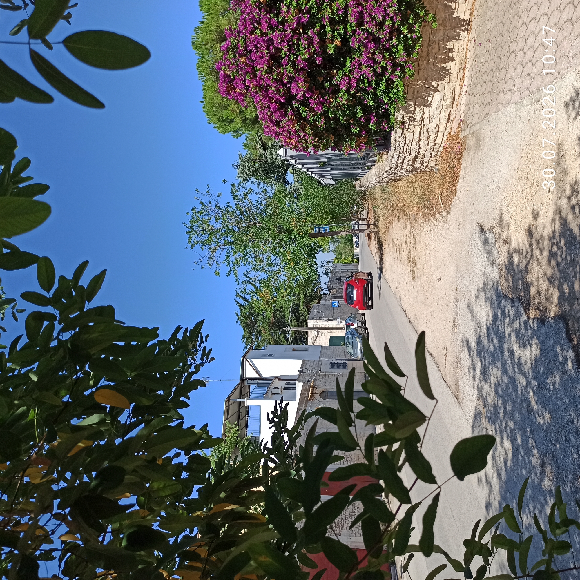 The image depicts a street scene in Terlizzi, Italy, on a clear, sunny day. In the foreground, branches with green and yellow leaves obscure parts of the view, casting shadows on a paved road and a gravel sidewalk. A red car is parked on the right side of the road, facing away from the camera. Further down the street, several other cars are visible. On the left side of the road, a white building with multiple stories and balconies is present. On the right side, a low stone wall is topped with a vibrant bush of purple bougainvillea. The sky is a clear blue. A date and time stamp, "30.07.2026 10:47", is overlaid on the lower right portion of the image.