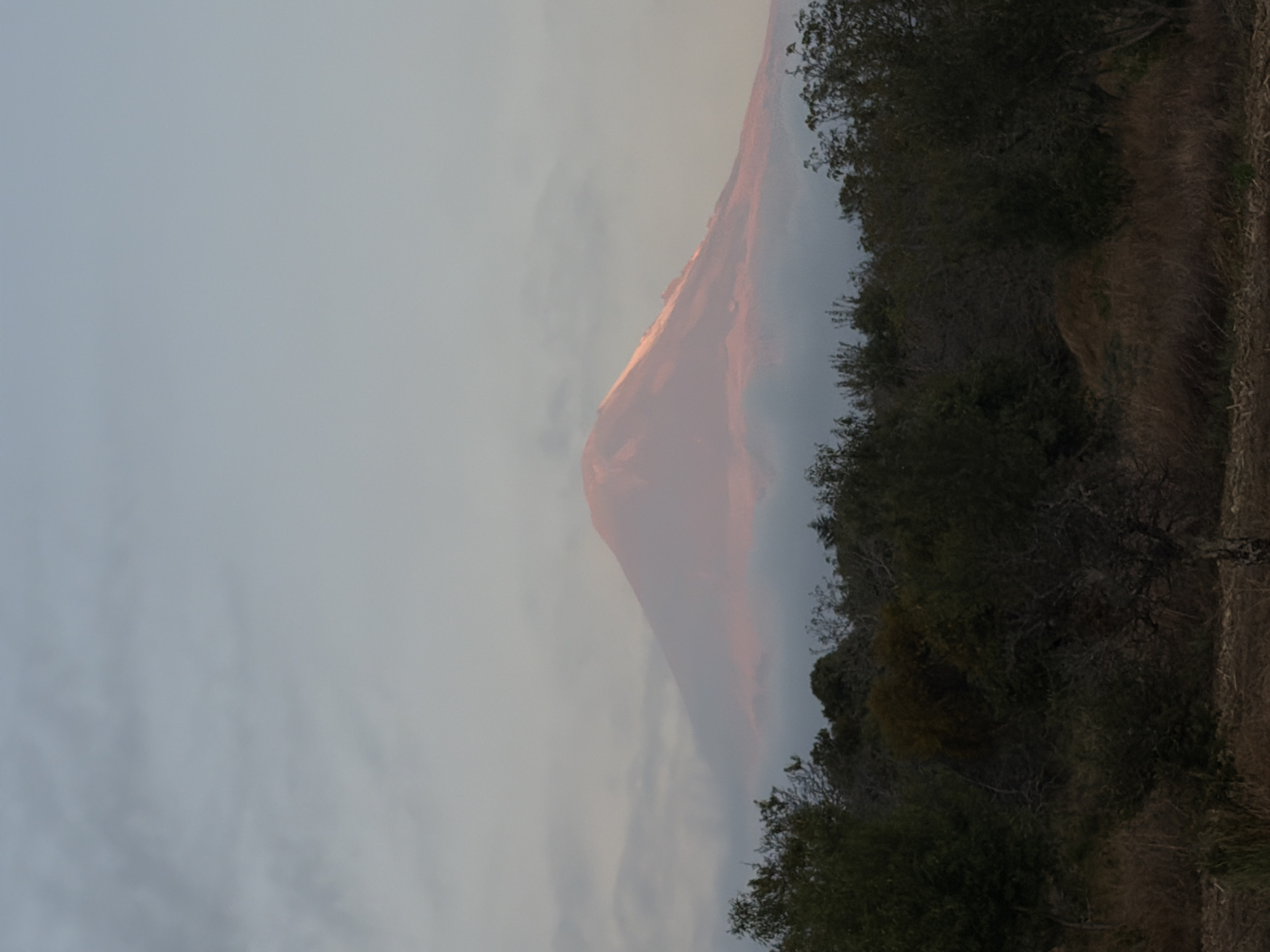 The image presents a landscape in San Nicolás de Los Ranchos, Mexico. A mountain, possibly Popocatépetl, is visible through a layer of haze or smog, its upper portion illuminated with a warm, orange glow likely from the setting sun. In the foreground, there is vegetation, including trees and dry grasses along the hillside. The sky is overcast and grayish. The image is rotated 90 degrees counterclockwise.