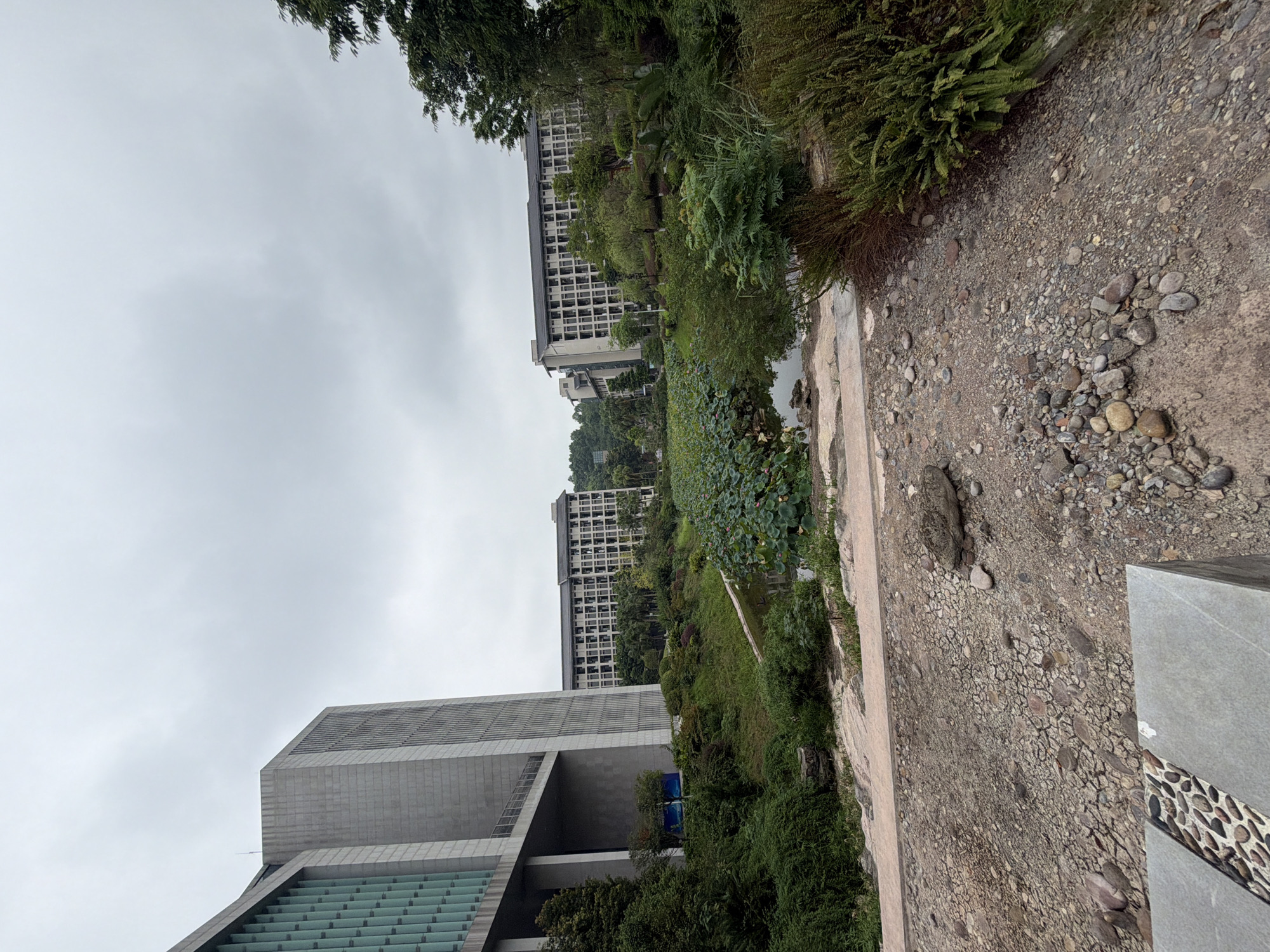 The image shows a serene outdoor scene with a large building in the background, a body of water filled with lotus plants in the mid-ground, and a rocky, unpaved area in the foreground. The sky is overcast, creating a soft, diffused light.
On the left side of the image, a modern, multi-story building with a light gray facade and green-tinted windows is prominent. A portion of another similar building is visible to its right, extending further back and appearing slightly shorter. These structures suggest an institutional or academic setting.
The mid-ground features a pond or lake densely covered with large, green lotus leaves. The water's edge is bordered by lush green vegetation, including various shrubs and some taller trees.
The foreground is characterized by a rough, earthy ground covered with gravel, small stones, and patches of dry, cracked earth. A light-colored, textured stone slab is visible at the bottom left corner.
The overall impression is one of a well-maintained campus or park area, likely in a city, given the presence of substantial architecture. Without further context, pinpointing the exact location within Jiangjin, China, is not possible based solely on the visual information. However, the architectural style and the lush vegetation are consistent with many urban and suburban areas in China. There are no people or animals visible in the image.