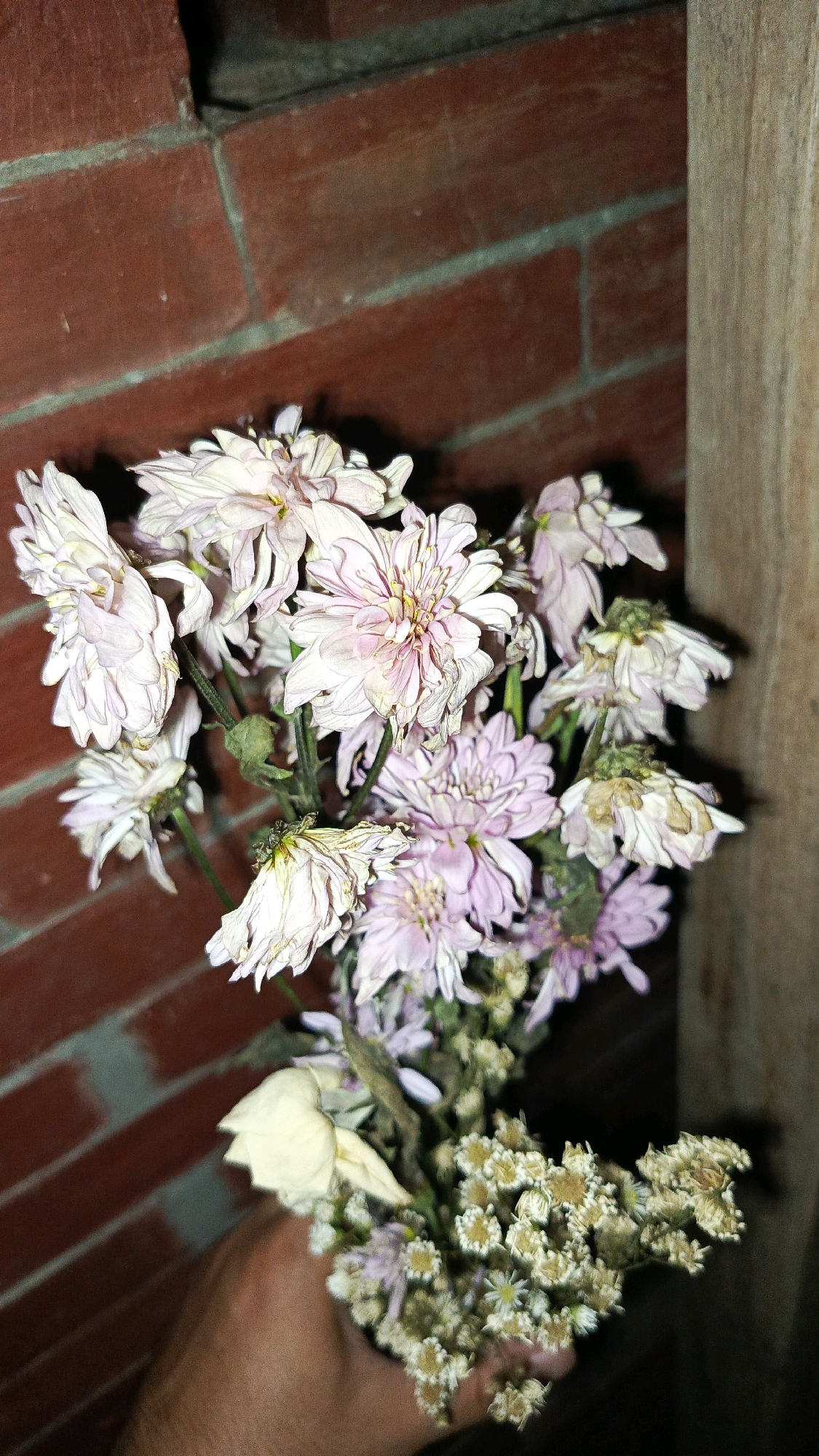 A bouquet of wilted light pink and white chrysanthemums is held in a person's hand against a backdrop of red brick wall and a wooden post. The chrysanthemums are dry and some petals are curled or detached. Small dried filler flowers are also visible. The overall lighting is dim. The image was taken in Babadan, Indonesia.