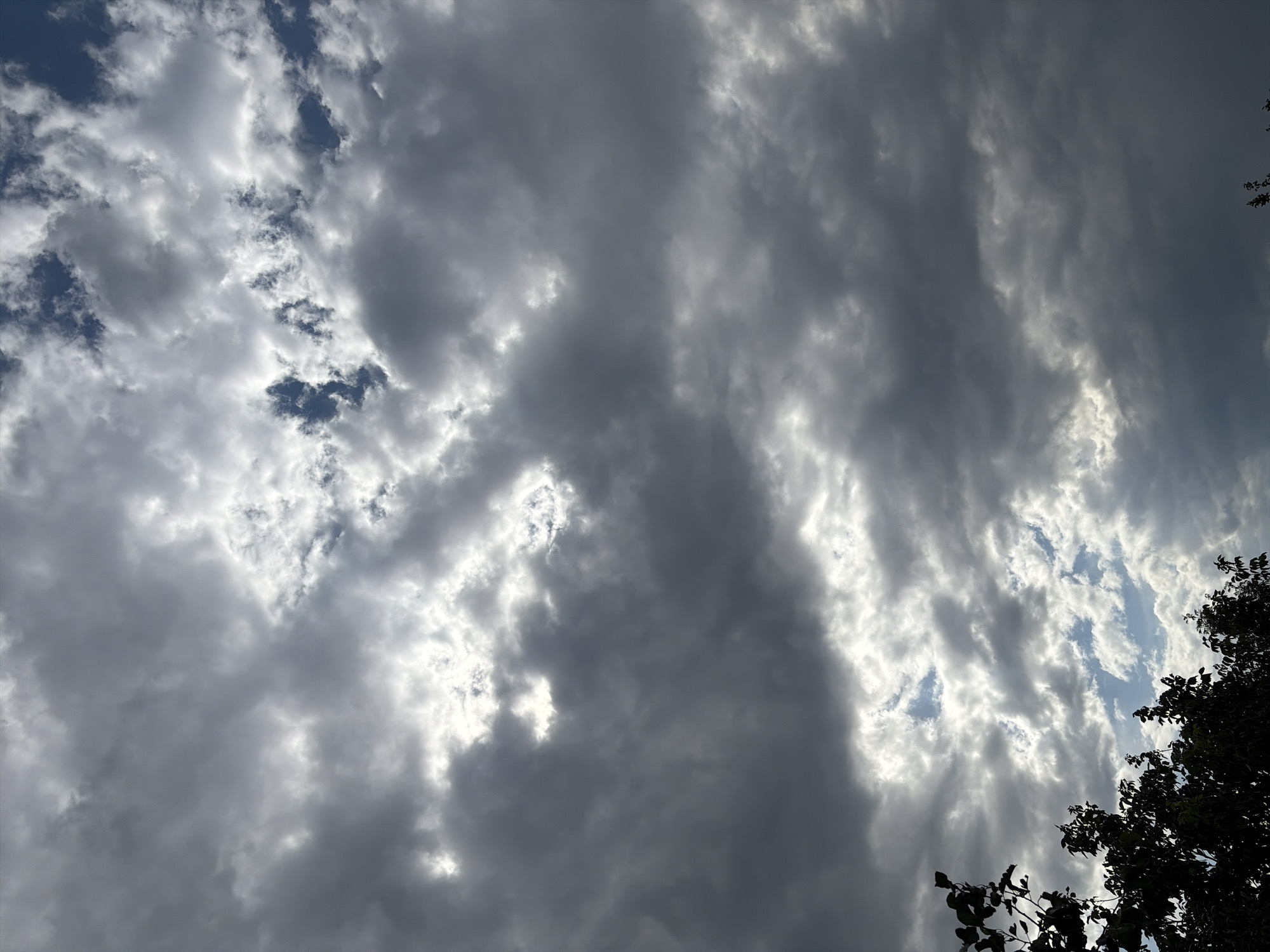 A sky filled with dramatic, grey, and white clouds is visible, with patches of blue sky peeking through. Sunlight is breaking through the clouds in several areas, creating a bright, luminous effect. Silhouetted against the sky at the bottom left are the dark leaves and branches of a tree. The scene appears to be an outdoor view, possibly from a residential area or park in Oxentea, Moldova. No people or specific actions are depicted.