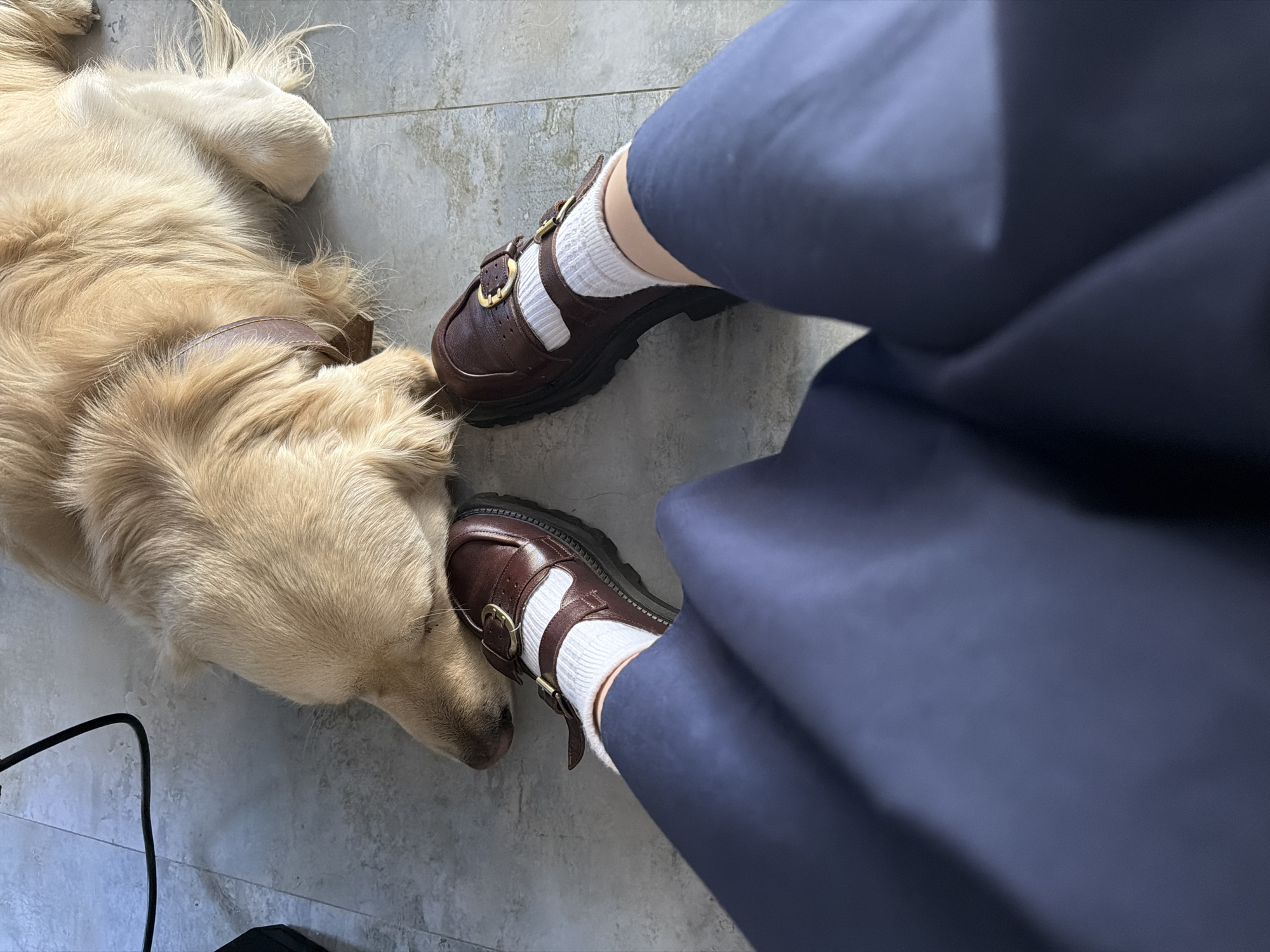 A golden retriever rests its head on a person's foot, who is wearing brown buckled shoes and white socks. The person is wearing navy blue pants. The scene takes place on a grey tiled floor. Yerevan, Armenia is not apparent from this image.