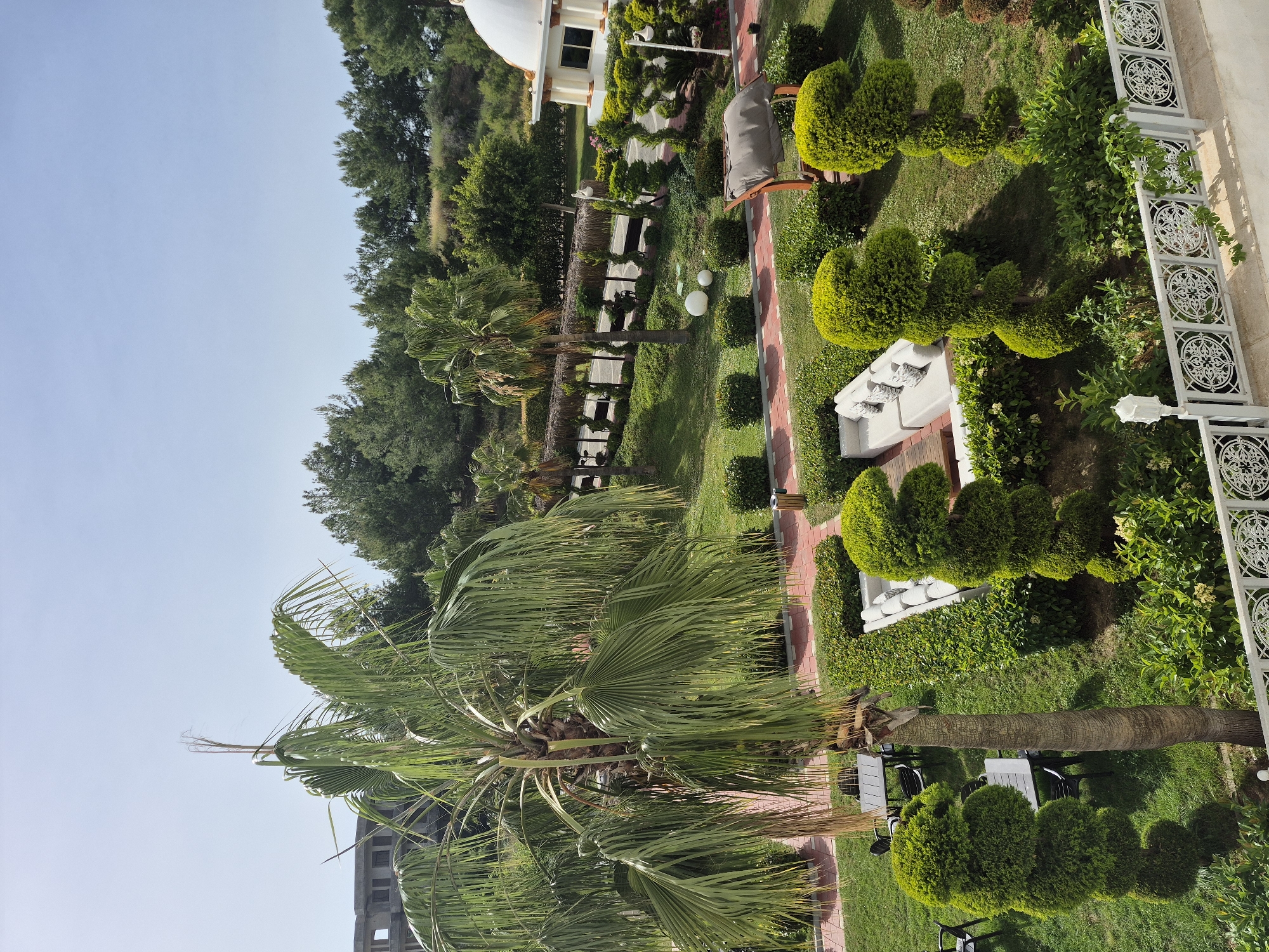 The image shows an outdoor garden area, possibly in Alanya, Turkey. A large palm tree dominates the foreground. A red brick pathway winds through the garden, lined with meticulously trimmed green bushes. Several white structures, possibly seating areas or decorative elements, are visible. In the background, a dense line of trees meets a clear blue sky. A white dome-shaped building stands amongst the trees. Some furniture and white lounge chairs are scattered throughout the garden. A tall building is visible in the lower left of the frame. A white ornate fence border is seen in the right.
