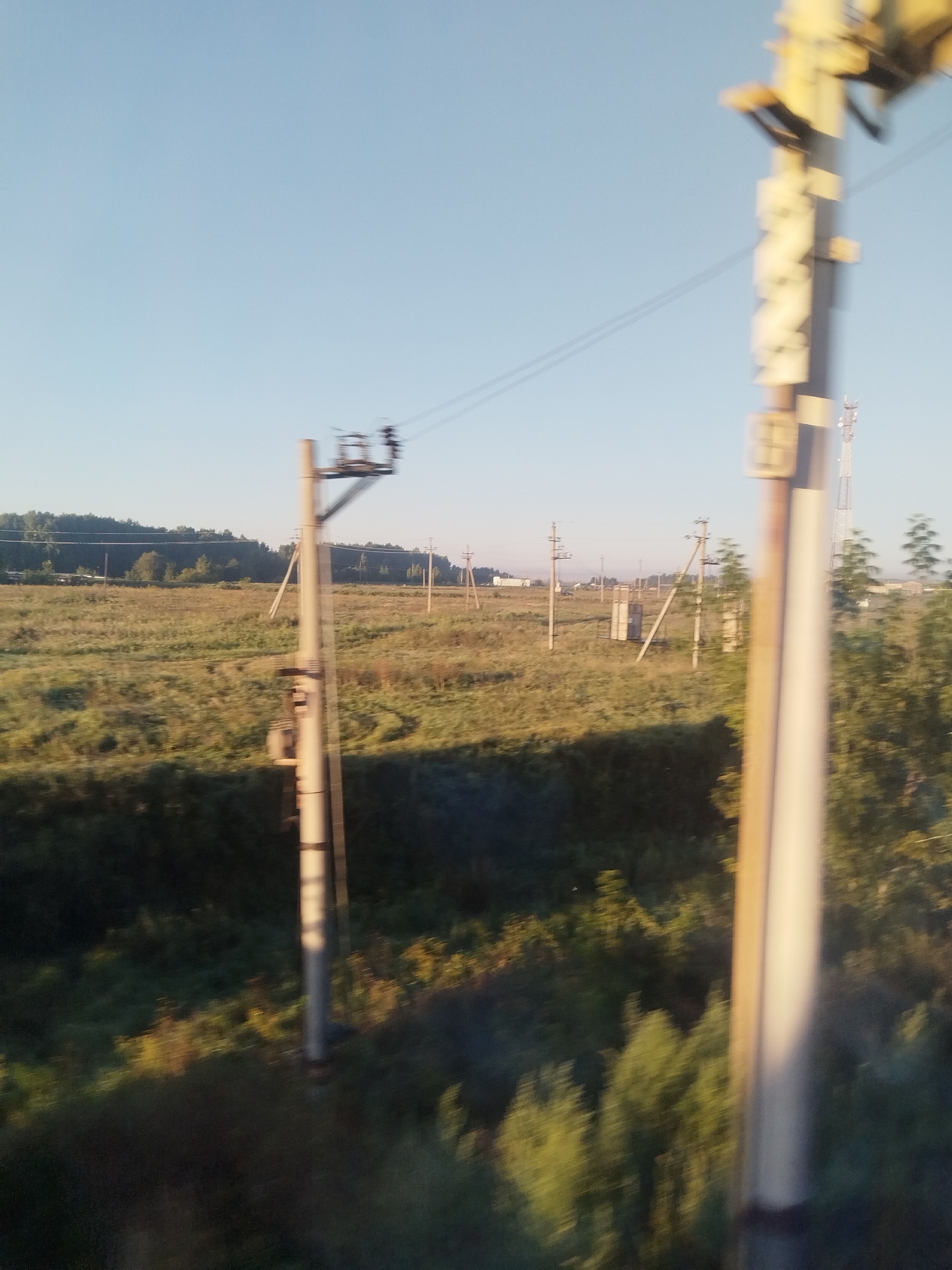 The image depicts an outdoor scene with a clear sky and a vast, grassy field. Several utility poles, likely for power lines or communication infrastructure, are visible throughout the field. One prominent pole, made of concrete, stands in the foreground, leaning slightly. In the background, a line of trees forms a distant horizon, beyond which more poles and structures are sparsely distributed. The lighting suggests it is either early morning or late afternoon. The scene appears to be rural, with no visible people or significant human activity. The location is identified as Zaglyadino, Russia.