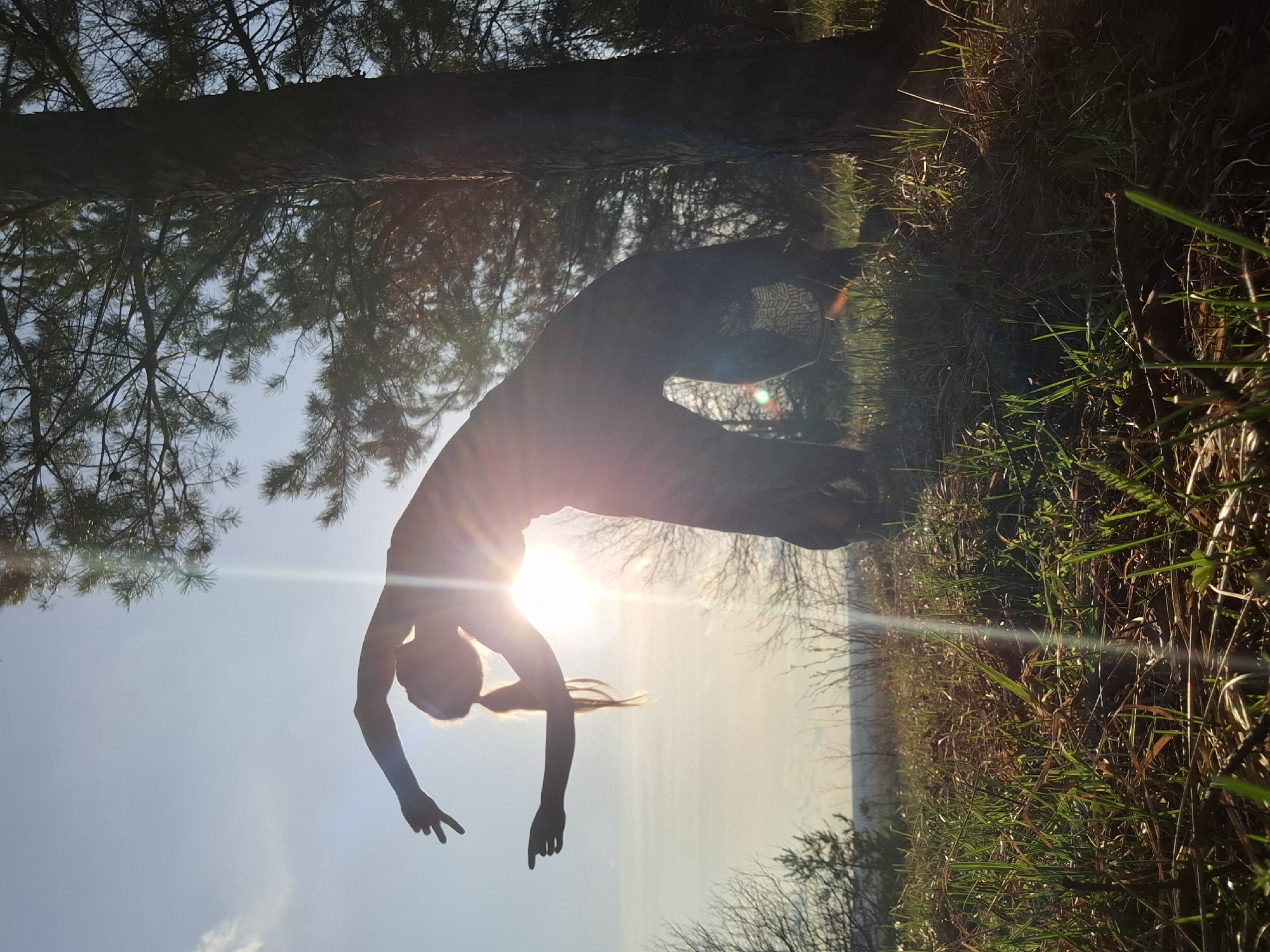This media file captures an outdoor scene in Khlevnoye, Russia, featuring a person performing an athletic pose against a bright, sunlit sky. The image is currently rotated 90 degrees clockwise.
**Subjects:** The primary subject is a person, likely female, silhouetted against the intensely bright sun. They appear to be performing a backbend or an inverted acrobatic/yoga pose, with their body arched, head tilted back, and arms extended downwards with fingers spread. Their long hair is visible in a ponytail, flowing downwards. Surrounding the person are tall trees, some appearing to be pine trees with distinctive needles, and in the foreground, patches of green and dry grass and foliage are visible.
**Scene and Setting:** The setting is a natural outdoor environment, possibly a forest edge, park, or open field. A faint horizon line of distant land or fields is visible.
**Activity:** The person is engaged in a physical activity requiring flexibility and strength, demonstrating a backbend or similar acrobatic movement.
**Notable Details:** The time of day appears to be either early morning or late afternoon/evening, characterized by the low angle of the sun, which is a prominent feature in the image. The strong backlighting creates a dramatic silhouette of the person and the trees, while also producing significant lens flares that emanate from the sun. The sky is clear, suggesting fair weather. The warm, golden light imbues the scene with a serene and ethereal quality. No text is visible in the image.