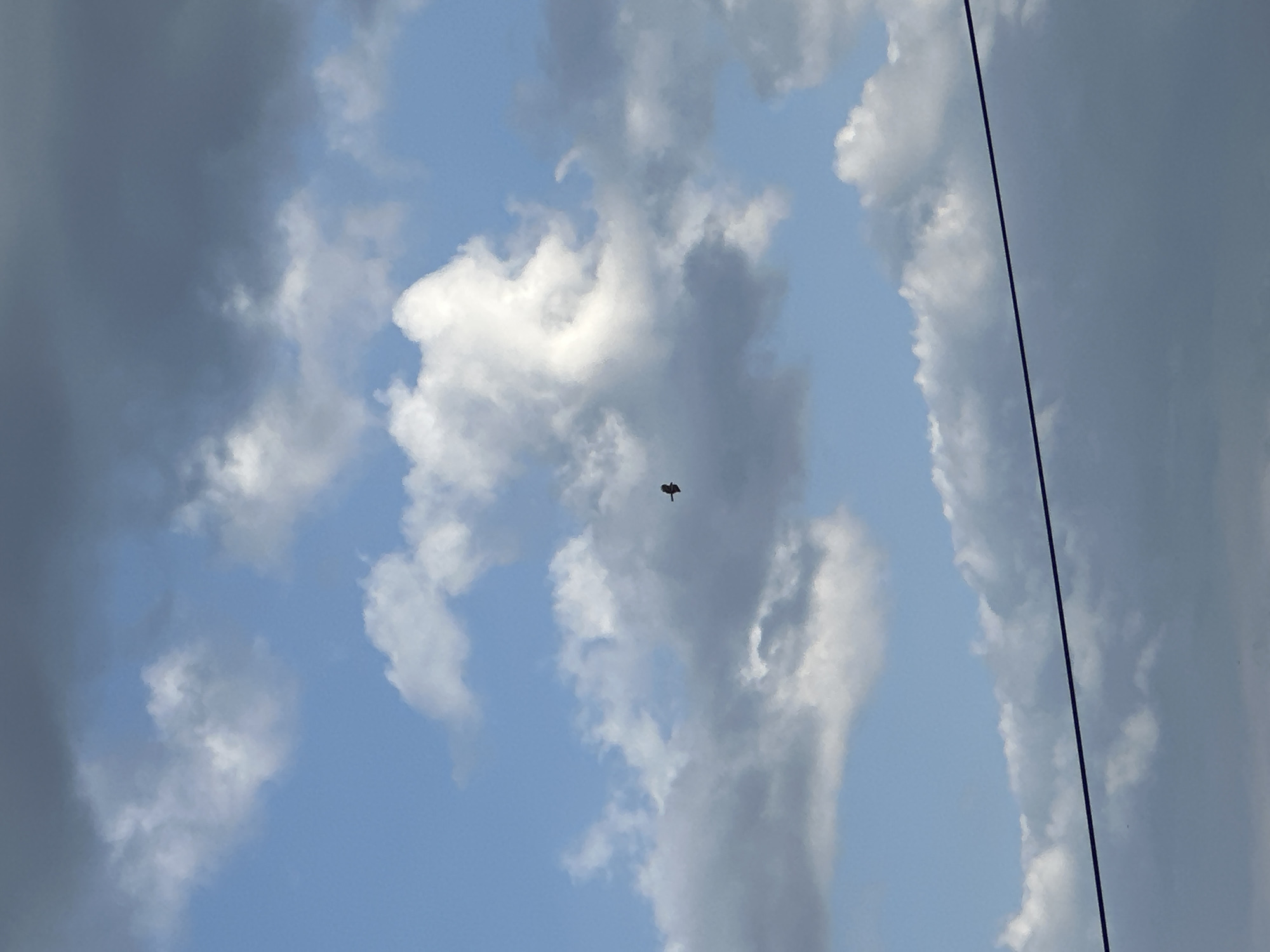 A daytime view of a partly cloudy sky, possibly in Chaikovsky, Russia, due to the prompt's instruction. Predominantly light blue sky is visible, interrupted by various white and grey clouds. A thin black wire stretches diagonally across the upper right portion of the scene. A small, dark silhouette of a bird is visible mid-frame, appearing to fly amidst the clouds. No people are visible.