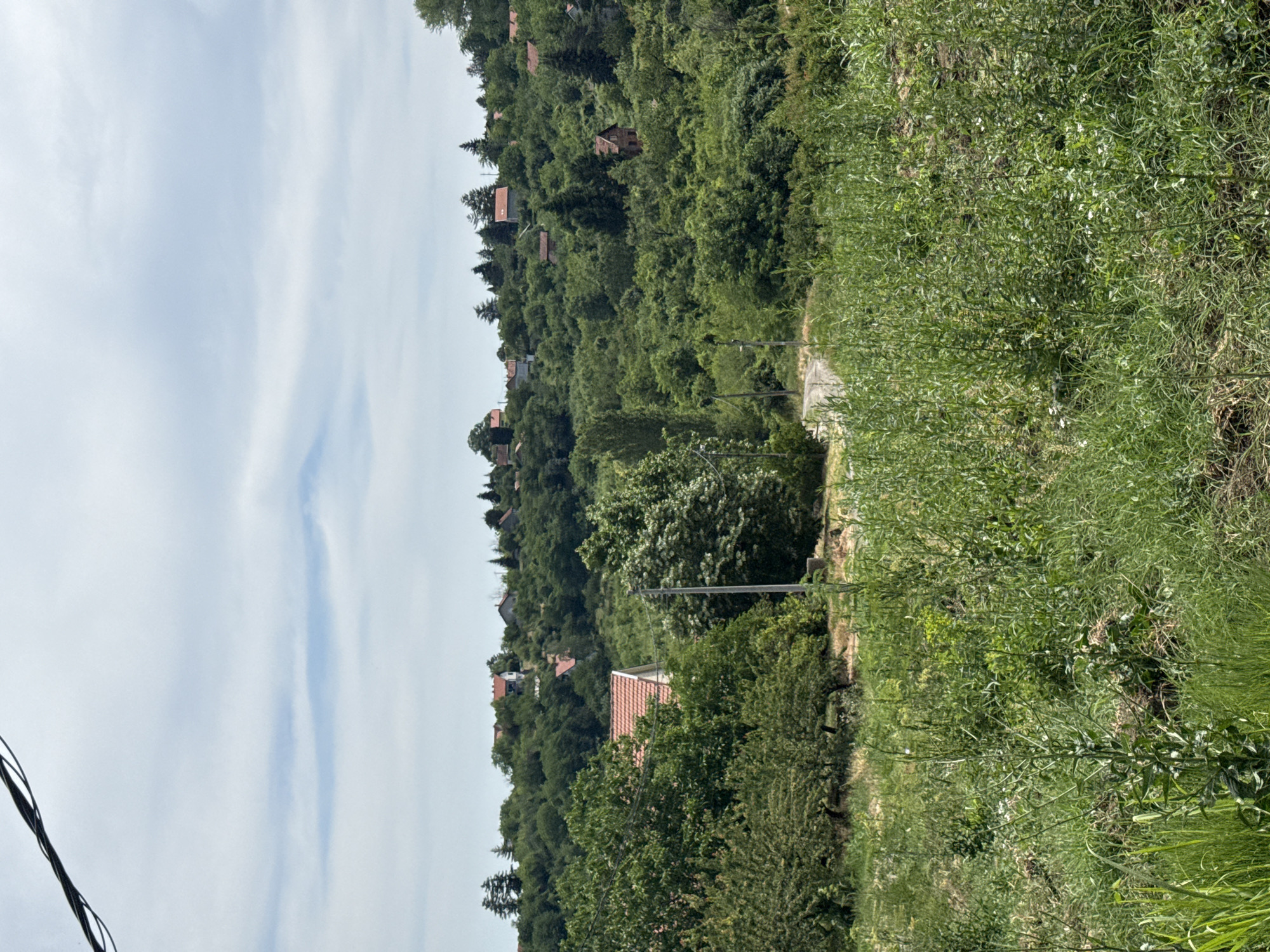 A lush, green hillside landscape, likely located in Grocka Urban Municipality, Serbia, is captured under a bright, partly cloudy sky. The upper portion of the image reveals a light blue sky adorned with wispy white clouds. The majority of the scene is dominated by a densely forested hillside, carpeted with various shades of green trees and abundant vegetation, suggesting a vibrant natural environment.
Several residential houses, distinguished by their red or orange tiled roofs, are sparsely scattered across the hillside, partially hidden by the dense foliage, indicating a rural or semi-rural settlement integrated with nature. A narrow dirt or gravel path can be seen winding its way up the slope on the right side of the image, disappearing into the greenery further uphill. A utility pole stands near this path, and power lines are visible diagonally across the bottom-left corner of the frame. The immediate foreground is filled with tall, unkempt green grass and brush.
The image depicts a serene, tranquil setting during the daytime, likely under sunny or partly cloudy weather. There are no people or discernible activities taking place. No visible text is present in the image.