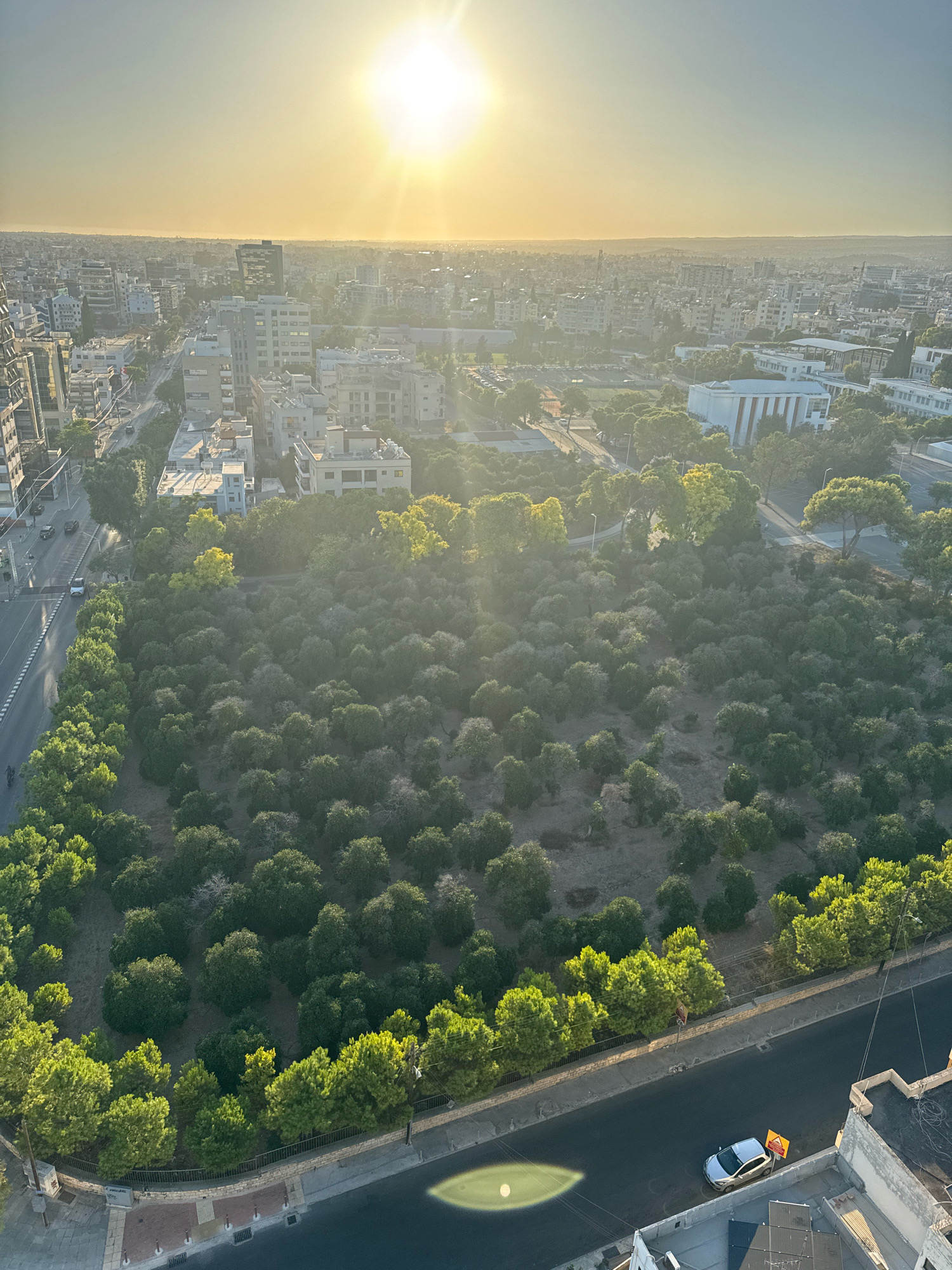 The image captures a panoramic aerial view of Limassol, Cyprus, during what appears to be a sunset or sunrise due to the golden light and sun's rays dominating the sky. The foreground features a densely vegetated area, likely a park or a patch of undeveloped land with numerous trees and bushes. A paved road runs along the perimeter of this green space, with a low stone wall bordering it. A few cars are visible on the road, and a silver sedan is parked on a rooftop adjacent to the road.
In the mid-ground, the urban landscape of Limassol unfolds, characterized by a collection of buildings, ranging from low-rise residential structures to taller modern buildings. Trees are interspersed throughout the cityscape, softening the architectural density. A street with traffic is visible to the left of the green area.
The background shows a sprawling cityscape extending towards the horizon, where the hazy silhouette of distant hills can be discerned. The overall atmosphere is illuminated by the warm, diffused light of the sun, creating a serene and expansive vista of the city. The image is taken from a high vantage point, offering a comprehensive perspective of the urban and natural elements within Limassol.