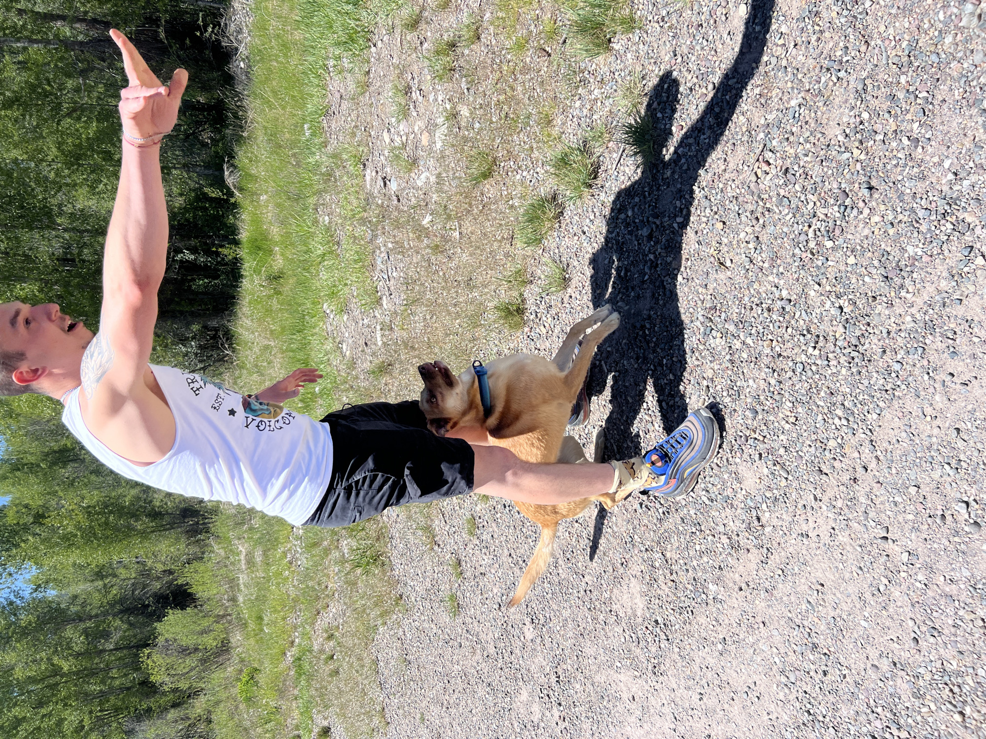 An outdoor scene in Wilson, United States of America, depicts a male individual interacting with a dog on a bright, sunny day. The man, positioned on a gravel path, wears a white tank top with a partial graphic displaying "TR EST." and a stylized figure, black shorts, patterned socks, and blue, orange, and grey athletic shoes. A tattoo is visible on his left arm. His right arm is extended forward and to the right, with his thumb and pinky fingers extended and the middle fingers folded. His mouth is open. To the left of the man's legs, a light-brown dog with a blue collar is captured mid-motion, looking upwards towards the man's face or arm, with its front paws elevated from the ground. The immediate ground is composed of gravel and small stones with sparse patches of green grass. The background features a dense collection of green trees and bushes under a clear sky. Strong shadows are cast to the right side of the frame.