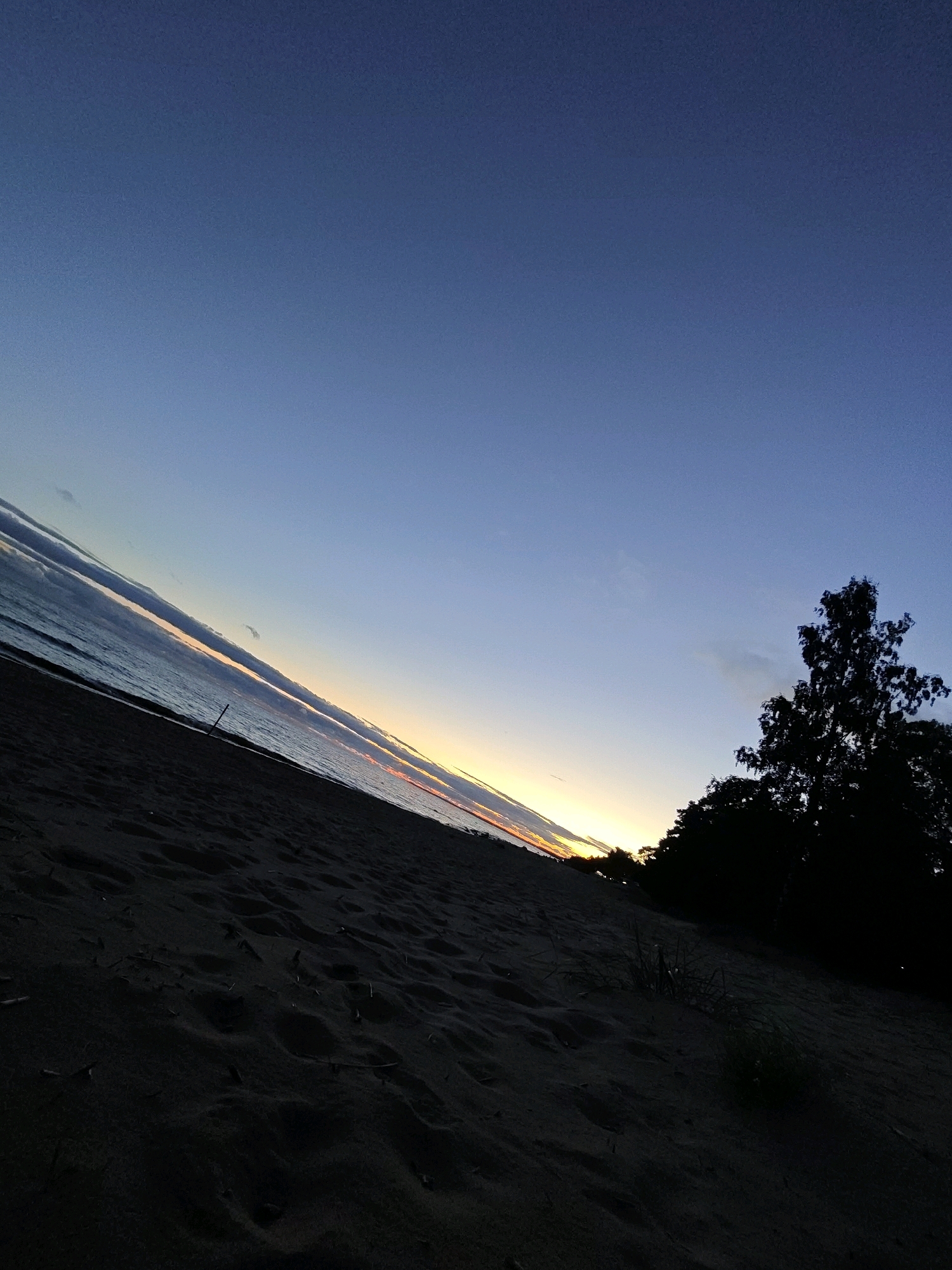 A low-angle shot captures a twilight scene on a sandy beach in Komarovo, Russia. The sky transitions from a deep blue at the top to lighter shades near the horizon. A thin band of orange and yellow light marks the sunset, visible between the water and the clouds that stretch diagonally across the frame. The sea is calm, with gentle waves lapping the shore. In the foreground, dark sand is textured with small footprints and scattered organic debris. To the right, the silhouettes of trees stand against the fading light, with one prominent tree on the far right. The scene is devoid of any people or visible actions, presenting a quiet, natural landscape at dusk.