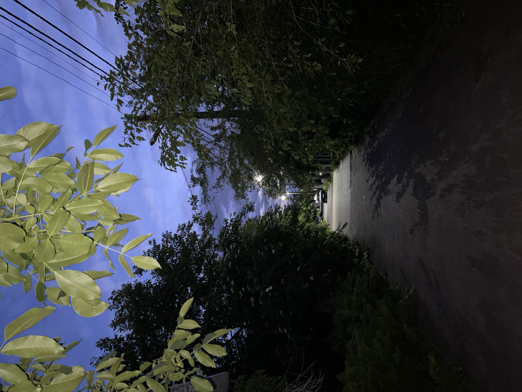 The image depicts a street in Kyiv, Ukraine at dusk. The street is lined with trees, obscuring much of the view. Overhead power lines are visible. The street surface is dimly lit, suggesting streetlights further down the road. At the end of the street, there is a parked car. There are no people visible in the image. The overall atmosphere is one of quiet urban tranquility at twilight.