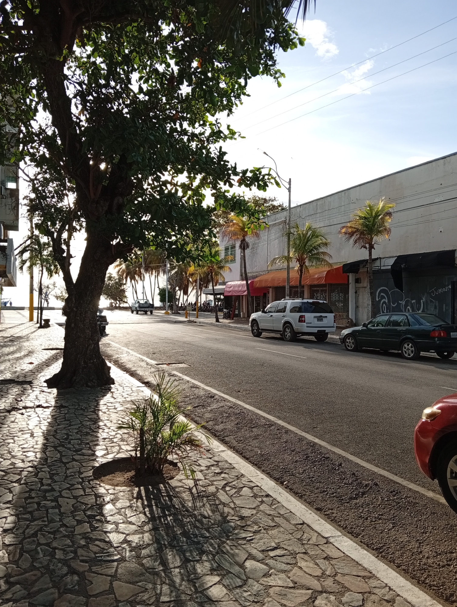 This image depicts a street scene in Juan Griego, Venezuela, bathed in the warm light of late afternoon. A large, leafy tree dominates the left side of the frame, casting long shadows across a cobblestone sidewalk. Beyond the tree, the ocean is visible in the distance, with several palm trees lining the street. The street itself is paved and appears to be a main thoroughfare, with several cars parked along the right side. One of these vehicles is a white SUV, and another is a dark green sedan. In the background, there are buildings with awnings and visible power lines overhead, suggesting a commercial or residential area. The sky is a clear blue with a few wispy clouds, and the sun is low on the horizon, creating a golden glow. There are no people clearly visible in the immediate foreground or midground, though distant figures can be seen on the sidewalk by the ocean. The scene conveys a sense of calm and a typical day in this coastal town.