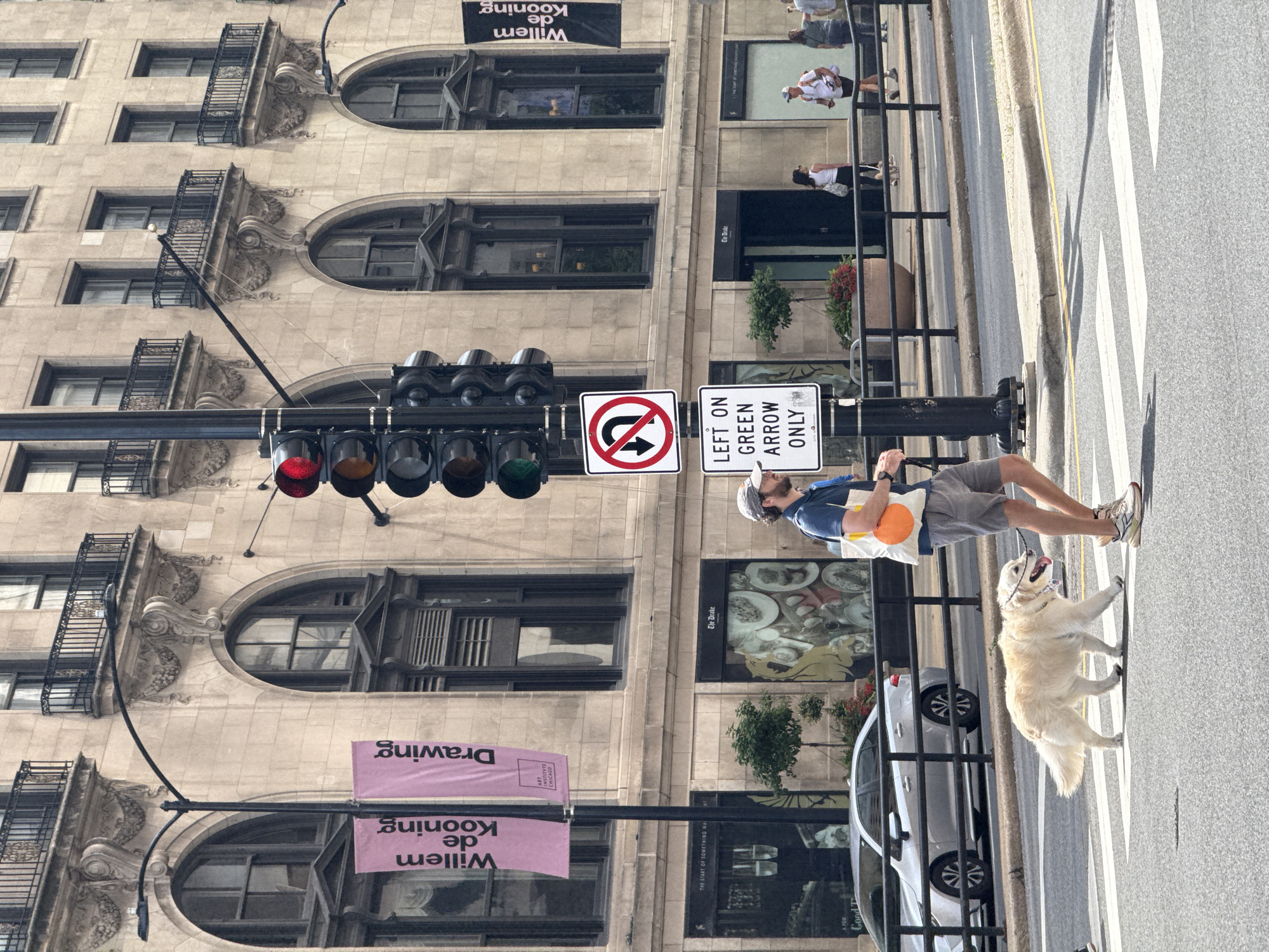 This image depicts a street scene in Chicago, United States of America, with a focus on a man and his dog crossing a pedestrian street. The man, wearing a blue shirt, gray shorts, and a baseball cap, is walking with a golden retriever on a leash. The dog appears happy, with its tongue out. They are crossing a crosswalk on a sunny day, casting long shadows on the pavement.
Behind the pedestrians, an imposing stone building with ornate architectural details, including arched windows and balconies, rises several stories. Banners with text reading "Willem de Kooning" and "Drawing" are prominently displayed on the building's facade, suggesting an art exhibition or gallery. A traffic light hangs above the street, showing a red light, and a street sign indicates "LEFT ON GREEN ARROW ONLY". Cars are visible on the street, including a silver sedan. The overall atmosphere suggests a typical urban day with people and their pets enjoying the outdoors.
