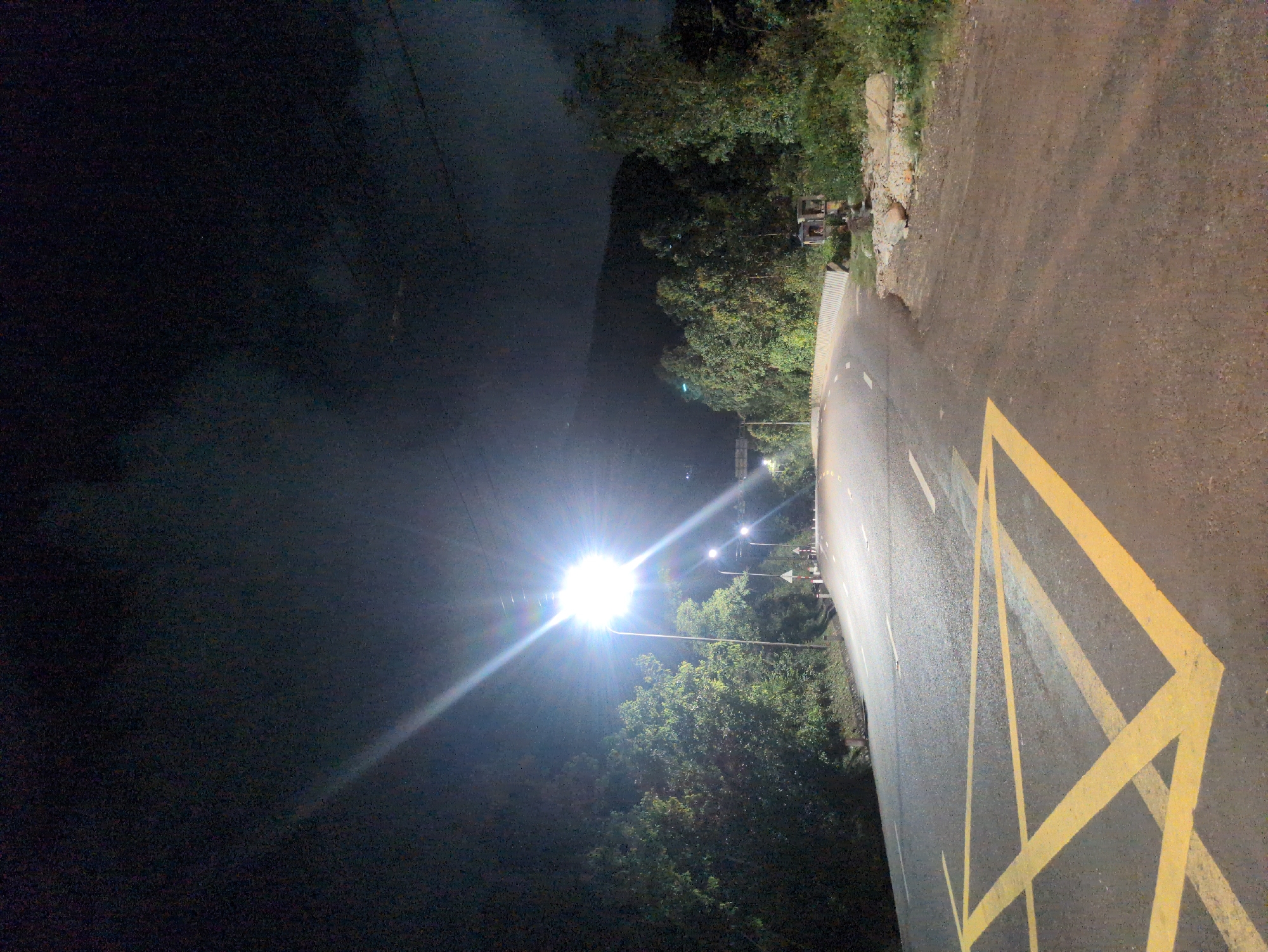 The image displays a nighttime scene of a two-lane asphalt road curving gently to the right, situated in South Quy Nhon Ward, Vietnam. The road surface in the foreground features prominent yellow "X" pattern markings, with white dashed lane lines visible further along the curve. Multiple artificial streetlights illuminate the scene, including a dominant, bright fixture on a pole in the mid-left foreground emitting a strong lens flare.
The left side of the road is bordered by dense green foliage, primarily trees and bushes, extending towards the upper left. A white concrete barrier or guardrail is visible on the left side beyond the initial curve. The right side of the road includes a dirt shoulder that transitions into thick green vegetation and trees. Within this foliage on the right, two small, weathered, box-like structures, consistent with roadside shrines or spirit houses, are positioned near the road's edge amidst scattered rocks and debris.
In the background, dark, undulating terrain, indicative of hills or mountains, rises against a dark, cloud-strewn night sky. Overhead power lines are faintly discernible across the upper portion of the frame. The scene is devoid of people, vehicles, or any discernible activity.