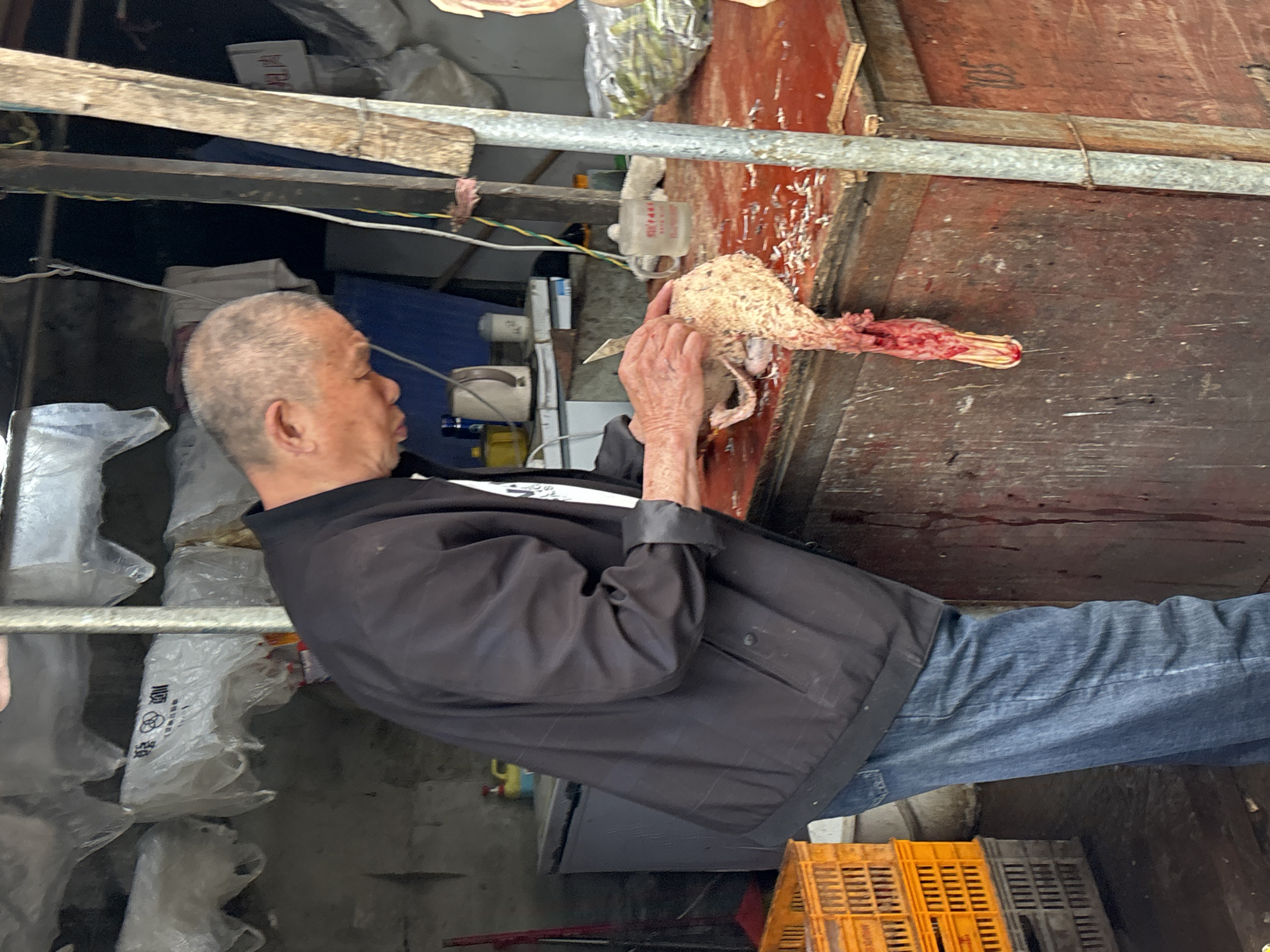 An elderly man in Jiangjin, China, inspects a freshly butchered duck, holding it with his hands. The duck's head and neck are visible and bloody. The man wears a black jacket and blue jeans. He stands near a blood-stained wooden surface. Plastic bags hang in the background, alongside a stack of orange crates on the floor.