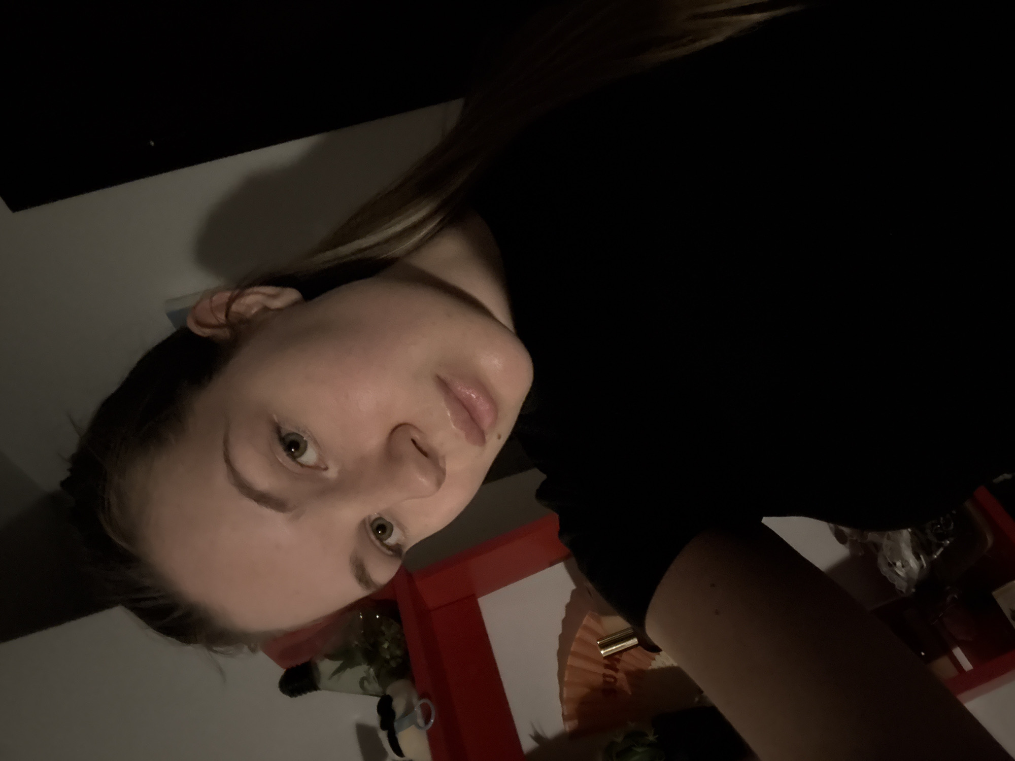 A dimly lit, angled close-up photograph depicts a fair-skinned woman with blonde hair and light-colored eyes. She is wearing a black shirt. The background features a dark ceiling and wall, with a glimpse of a red-framed shelf containing various items, including what appears to be a Minion plush toy and a fan. The photo's perspective suggests it was taken from above the subject. There's no explicit indication of Vozdovac Urban Municipality, Serbia.