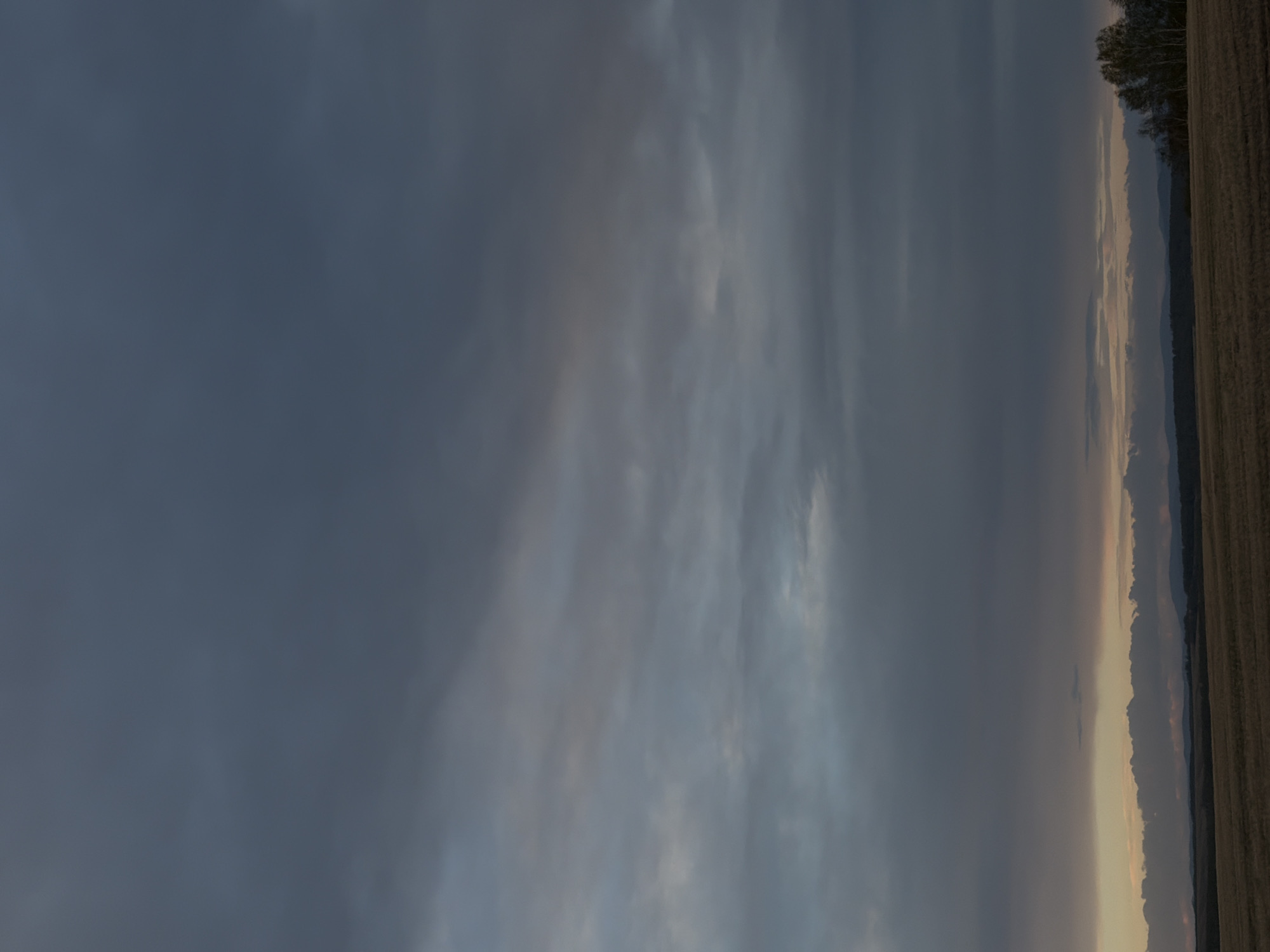 The image depicts a landscape under a predominantly cloudy sky, possibly in the vicinity of Krasnaya, Russia. A field of harvested crops occupies the right side of the frame, with a line of trees visible along the horizon. The lighting suggests either dawn or dusk. The sky is filled with dense, layered clouds, ranging in color from dark gray to lighter shades, obscuring the sun.