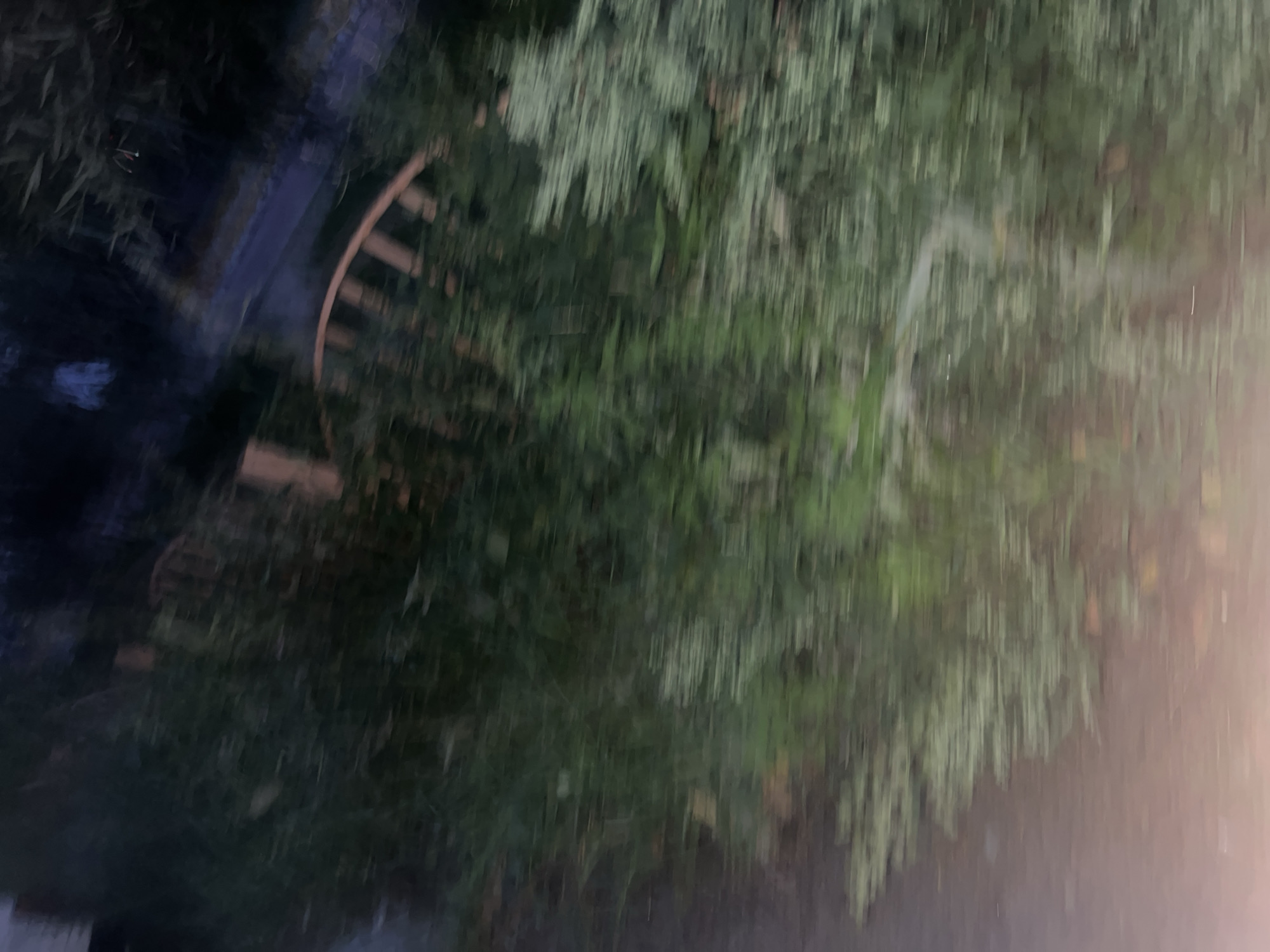 The image is a blurry, low-light shot that appears to have been taken from a moving vehicle. The scene depicts dense green foliage, likely trees and bushes, with some indistinct wooden structures visible in the background, possibly part of a fence or garden furniture. The ground in the foreground is a muted brown and pink, suggesting it might be a path or road. The overall impression is one of an outdoor environment, perhaps a park or residential area, captured at dusk or at night. There are no discernible people or specific landmarks to indicate a precise location within Surgut, Russia.
