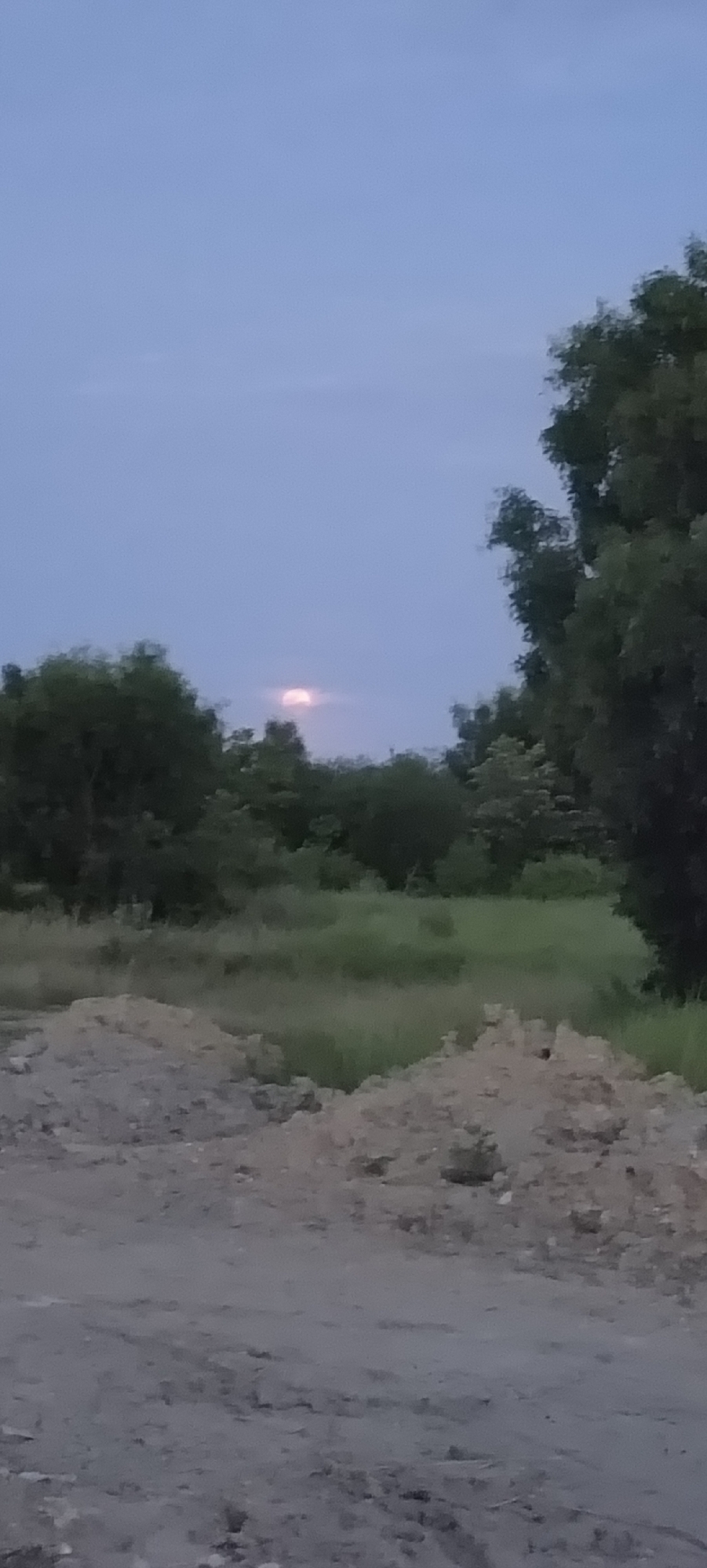 The image shows a landscape under a twilight sky. A pale, indistinct light, possibly from the moon, is visible in the center of the sky. The middle ground features a field of tall grass, bordered by dense trees and foliage. In the foreground, there is a pile of gravel or dirt, suggesting a construction site or undeveloped area. The overall scene conveys a rural or semi-rural setting, which is difficult to contextualize without further details concerning the location. It is challenging to specify an exact location within Lhokseumawe, Indonesia, based solely on the general landscape elements present in the image.