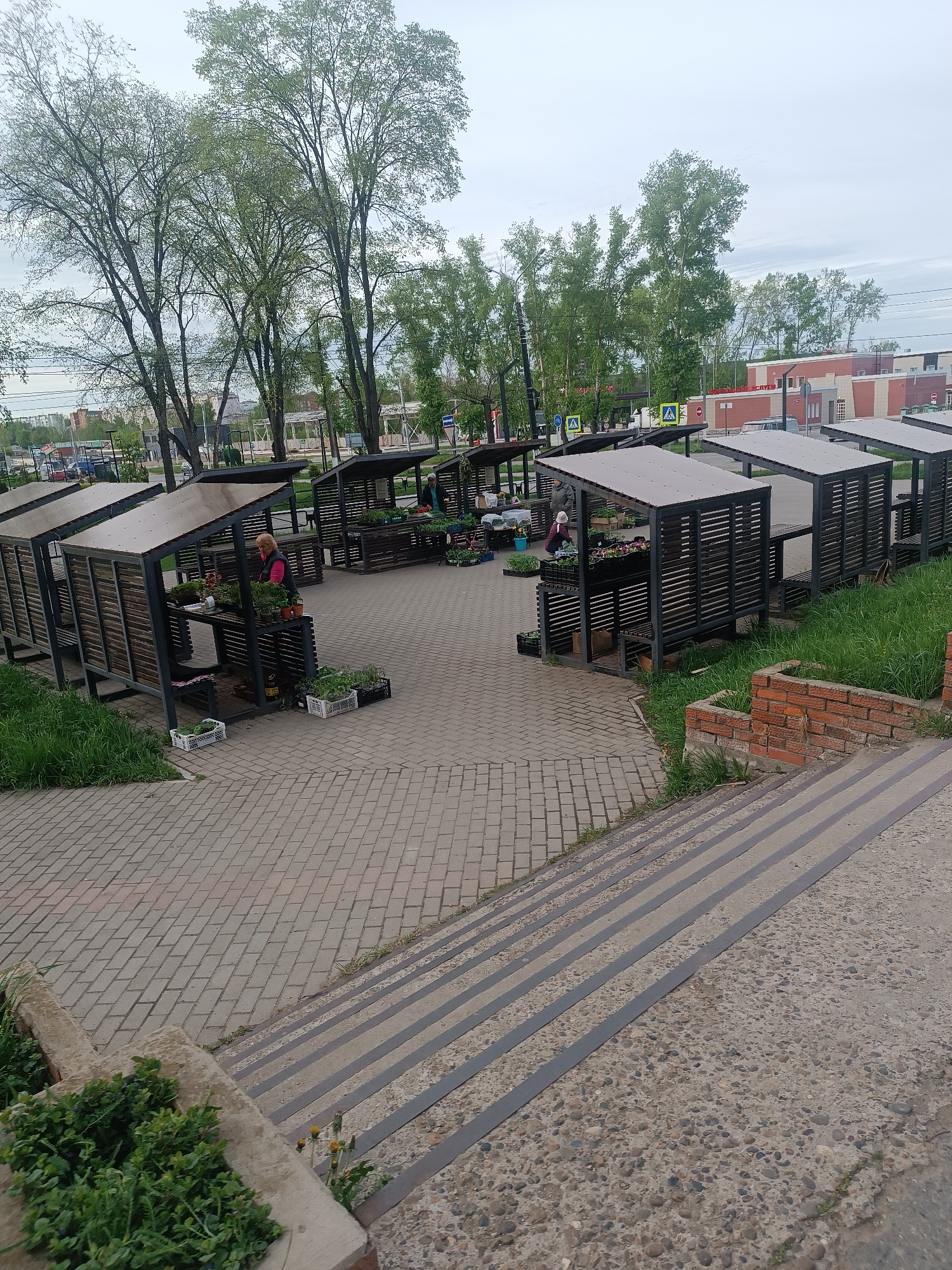The image depicts an outdoor market setting in Chaikovsky, Russia. Several stalls are arranged in rows, each consisting of a dark-colored wooden frame with a roof and a display table. Some stalls are occupied by individuals, possibly vendors, tending to plants and flowers. The market is paved with interlocking bricks, and a set of stairs leads down towards the market area. Green foliage and trees are visible in the background.