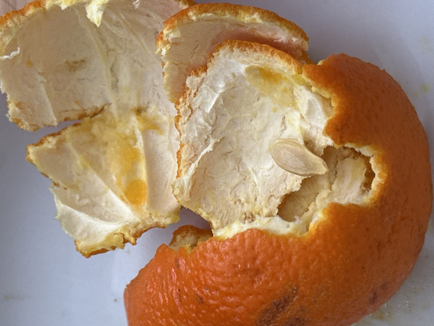 A close-up, high-angle shot captures the remnants of a freshly peeled orange, resting on a white surface. The vibrant, textured orange peel is visible along the right and bottom edges of the frame, contrasting with the extensive exposure of the white, fibrous pith on the interior. The peel is torn and splayed open, revealing the intricate patterns of where the orange segments were once attached.
Traces of the fruit's pulp and juice cling to the white pith, appearing as bright yellow and amber stains and streaks, particularly in the upper-left and central sections. A single, light-brown, teardrop-shaped orange seed is prominently featured in the middle-right area of the exposed pith, suggesting the orange was consumed recently. The lighting is bright and even, casting minimal shadows and illuminating the details of the peel's texture and internal structure. The scene evokes a casual, domestic moment, possibly in a kitchen or dining area in Wealden, United Kingdom, where a fruit has just been enjoyed. There are no people or visible text in the image.