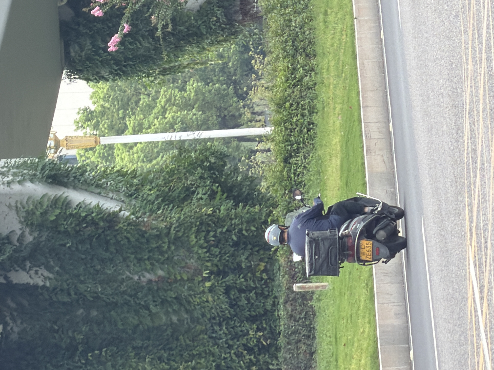 A person wearing a blue shirt and a grey helmet is riding a black scooter with a black delivery box on the back. The scooter has a license plate with the characters "ZE635". The scooter is traveling on a paved road with a concrete barrier to the left. Behind the barrier is a grassy area and dense green foliage, including ivy growing on a bridge or overpass structure. In the background, trees and a white pole are visible. The scene appears to be in an urban or suburban area of Jiangjin, China, with a focus on transportation and delivery infrastructure.