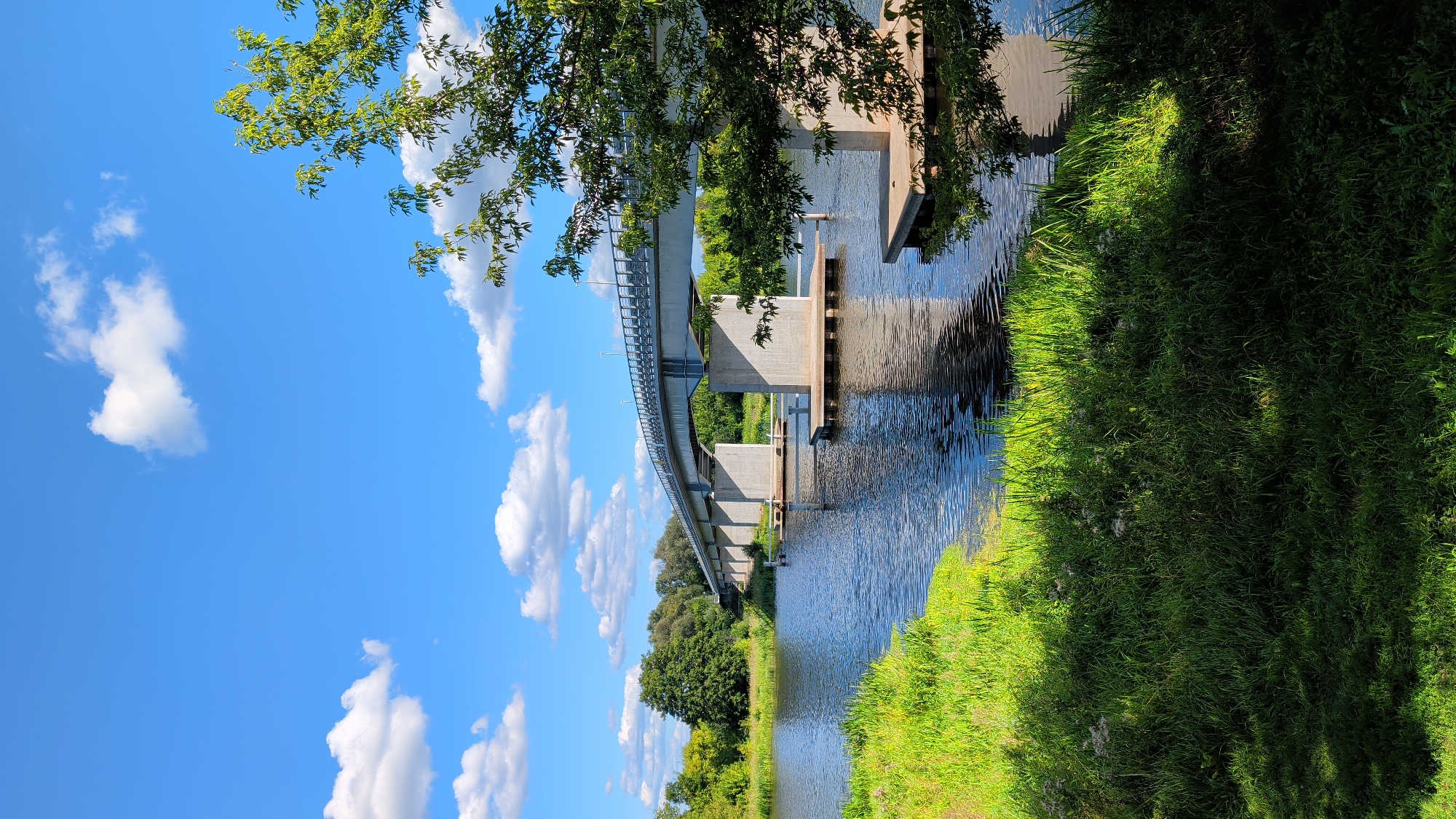 This image shows a concrete bridge crossing a calm, blue river on a clear day. The bridge has a railing and appears to be an elevated road. Concrete pillars support the bridge, and some wooden platforms are visible in the water near the pillars. Lush green grass lines the riverbank in the foreground, with trees and foliage visible on the far bank and to the right. The sky is a vibrant blue with scattered white, fluffy clouds. This scene is likely of the Narew River in Pułtusk, Poland, which features a notable bridge that matches this description. There are no people or animals visible in the image.