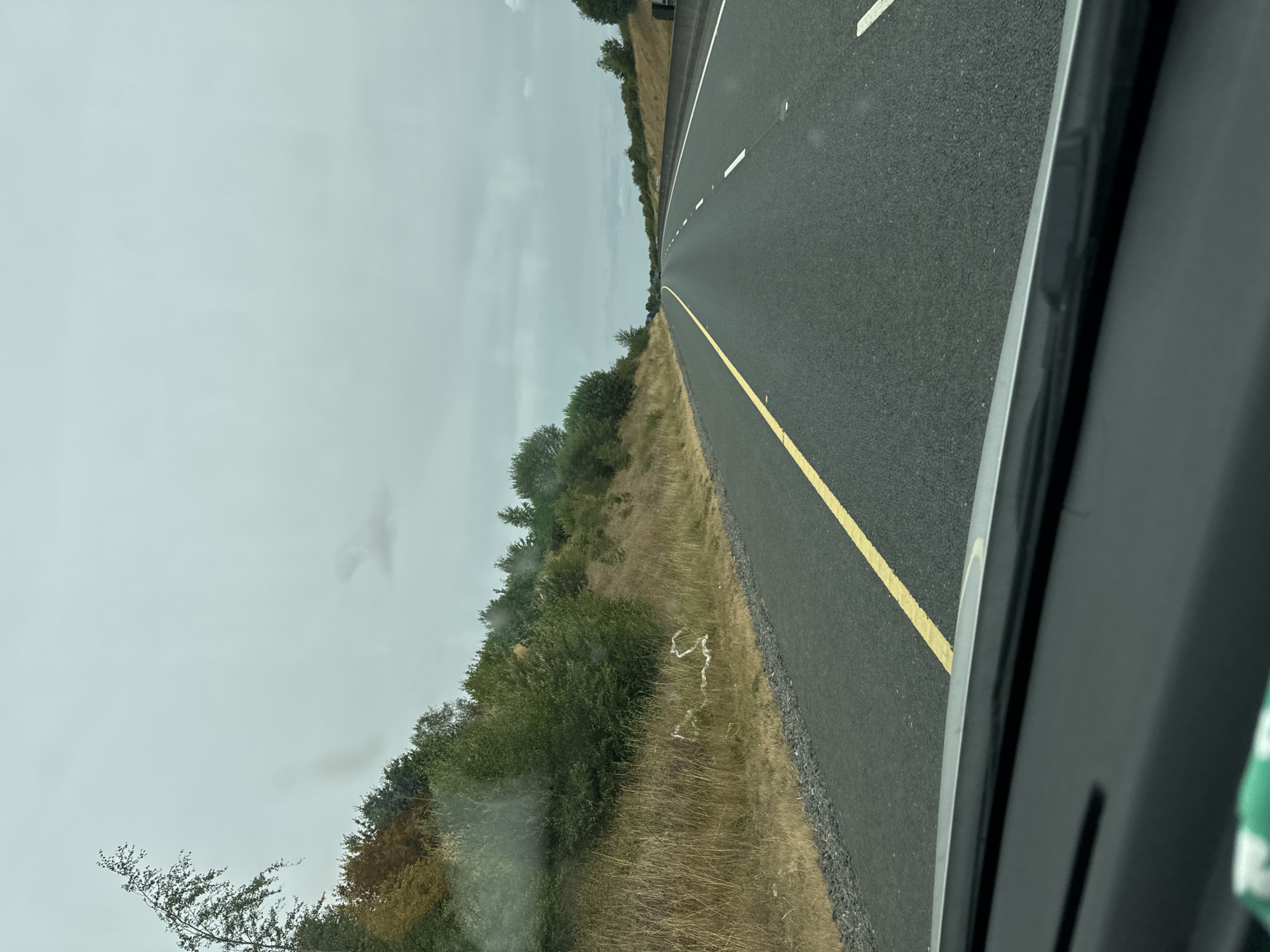 The image shows a view from inside a vehicle looking out at a highway. The road is asphalt and has a yellow line marking the left edge of the driving lane. On the left side of the road, there is a grassy embankment with trees and bushes. On the right side of the road, there is a concrete barrier and more trees. The sky is overcast and grey. The image does not provide any specific details to identify the location as Palatine, Ireland.