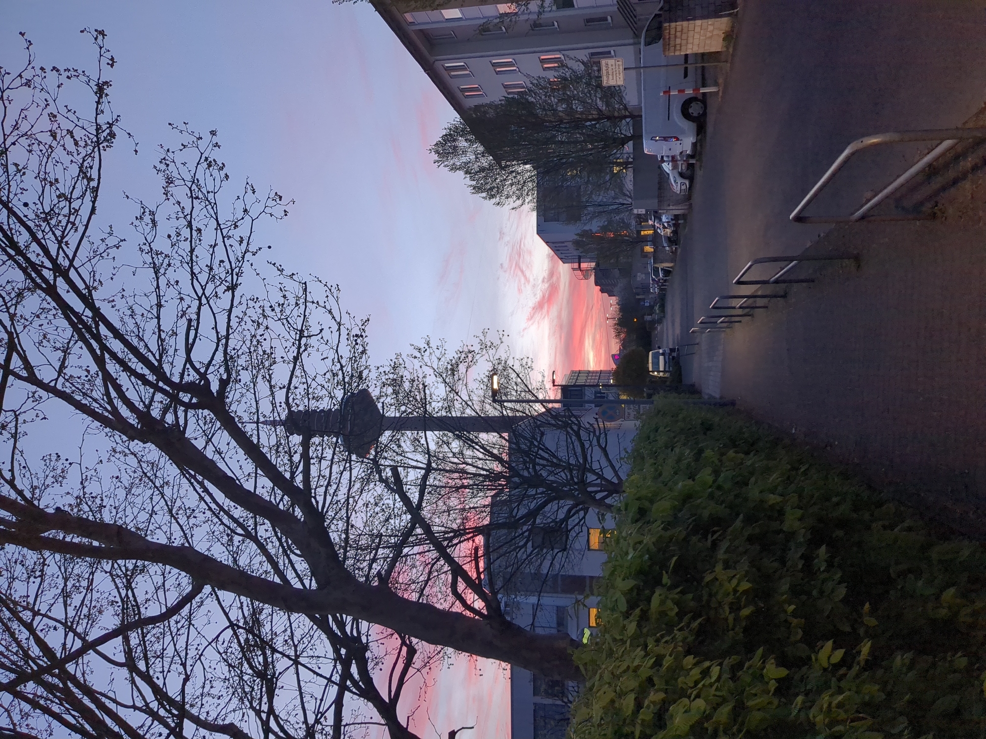 A tilted outdoor shot shows a street scene under a colorful sky in Unknown, Unknown. A tree with bare branches dominates the left side of the frame. A tall, metallic structure is partially obscured by the tree branches. To the right, a building with illuminated windows is visible. Further down the street, a row of parked cars lines the side of the road. A row of metal bike racks is on the right side of the image along with some shrubbery. The sky displays a blend of pink, orange, and blue hues, suggesting either sunrise or sunset.