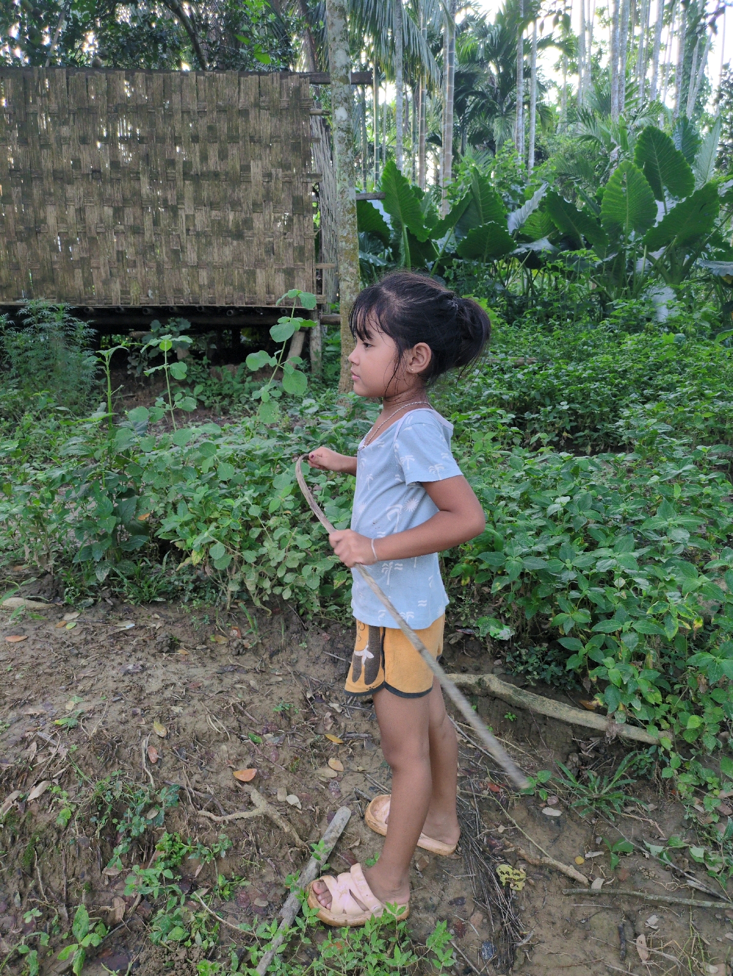 A young girl, appearing to be of South Asian descent, stands in a grassy, overgrown area. She is facing left, with her body angled slightly away from the camera. The girl has dark hair pulled back in a bun, and is wearing a light blue t-shirt and orange shorts with a pattern. She is holding a thin stick in her hands, appearing to be either playing with it or using it to interact with the ground. Her feet are clad in light pink sandals.
The environment is lush and green, suggesting a rural or semi-rural setting. In the background, to the left, is a rustic structure made of woven bamboo, possibly a dwelling or shed, elevated on stilts. Tall, slender trees with palm-like fronds dominate the background, indicating a tropical or subtropical climate. Dense foliage and undergrowth surround the girl, with patches of bare, muddy ground visible in the foreground. The scene is lit by natural sunlight, casting dappled shadows. The overall impression is one of a child exploring or playing in a natural, somewhat uncultivated environment. The location is identified as Borchora, India.