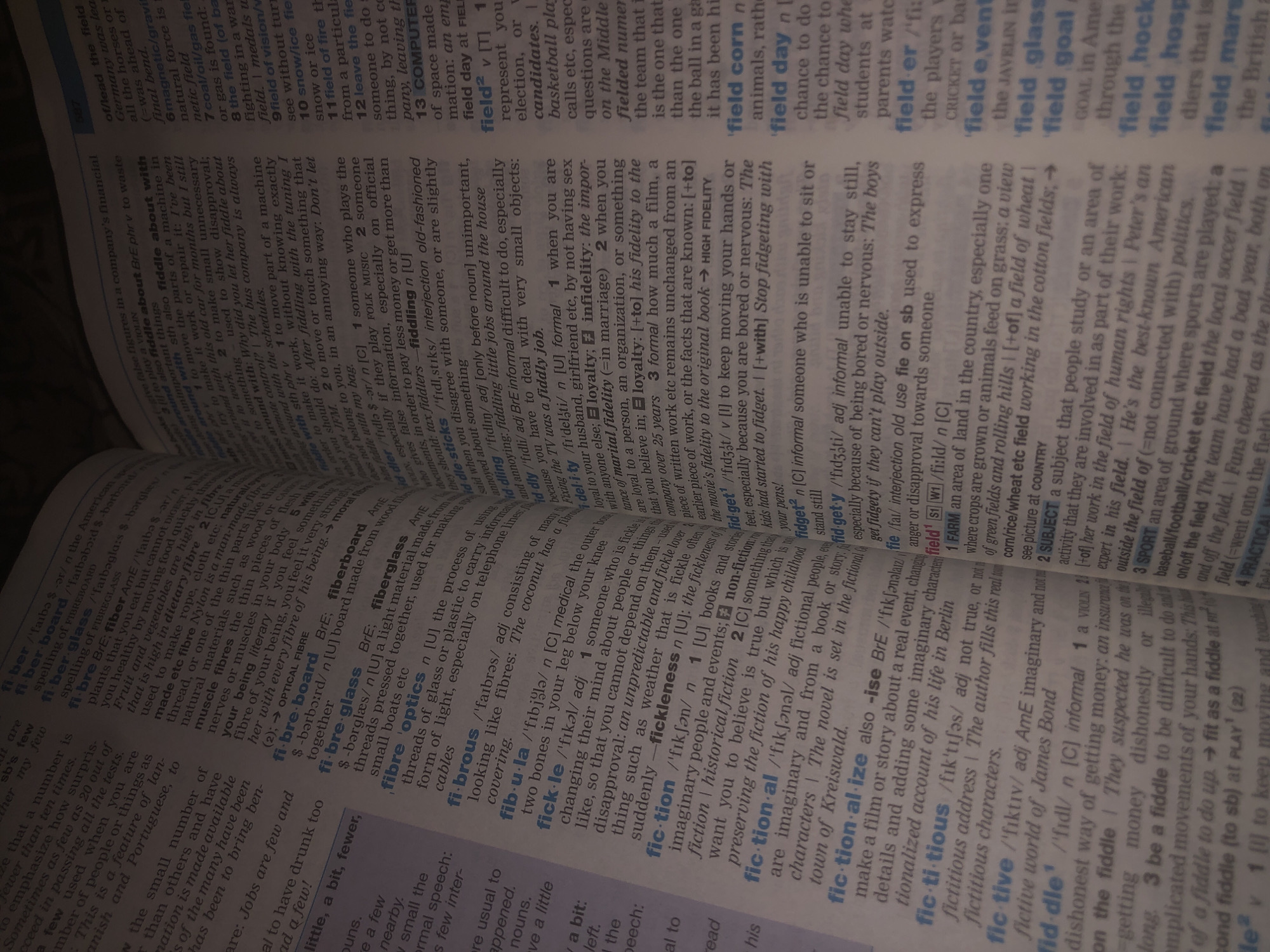 The image is a close-up shot of an open dictionary, with the focus on entries related to words beginning with "fi". The dictionary appears to be well-worn, with some pages slightly creased. The lighting is dim, suggesting it might be evening or a dimly lit room. The page is filled with text and definitions, with some words highlighted in blue. There are no people or specific objects that can be identified outside of the dictionary itself. The background is blurred and indistinct, offering no contextual clues about the location. There is no information in the image that would allow for the determination of the city of Jalingo, Nigeria.