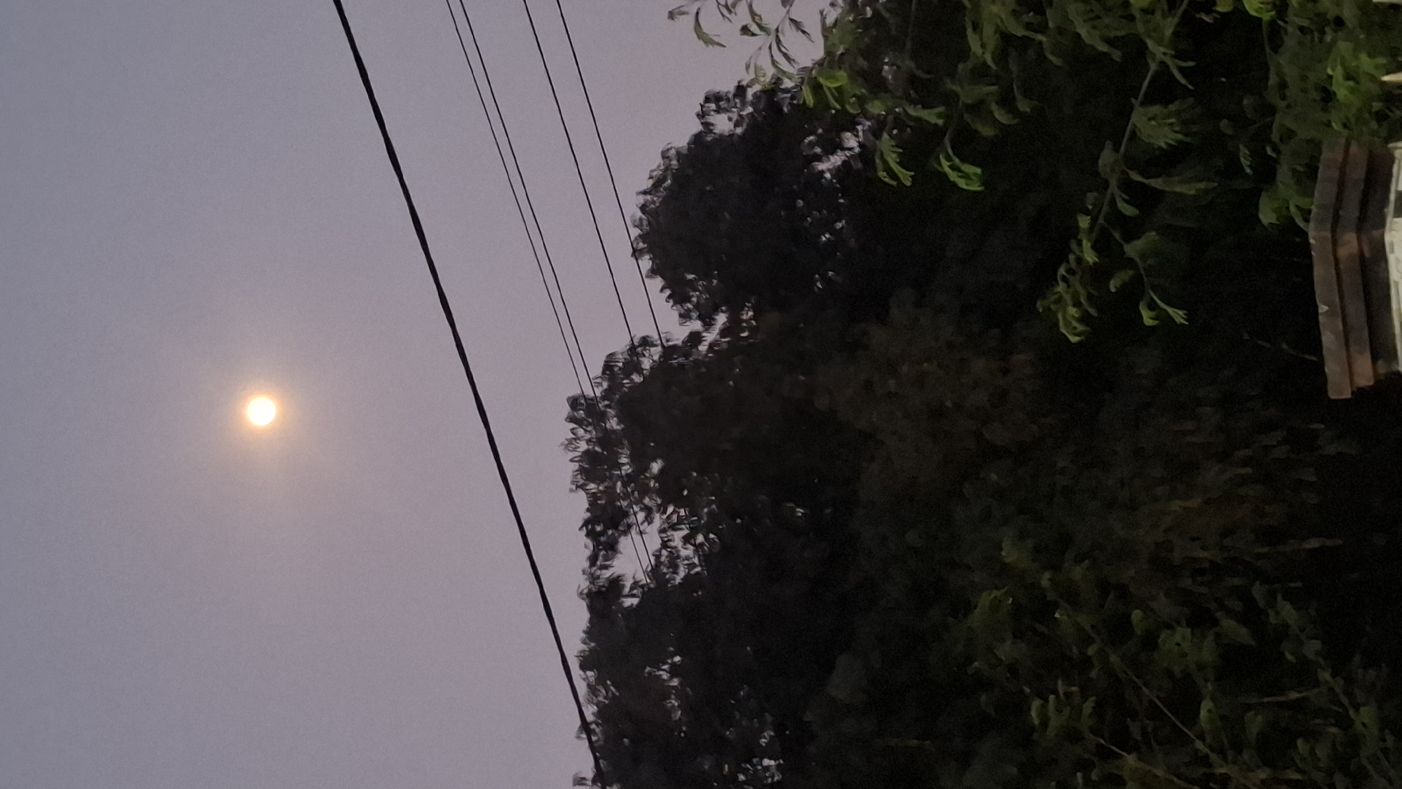A full moon is visible in a hazy, pale sky above a silhouetted line of trees. Several black power lines are strung across the upper portion of the image. The trees are dark and leafy, with some lighter foliage visible in the foreground on the right. A small portion of a brick structure is visible at the bottom right corner. The scene appears to be from Cibinong Hilir, Indonesia.