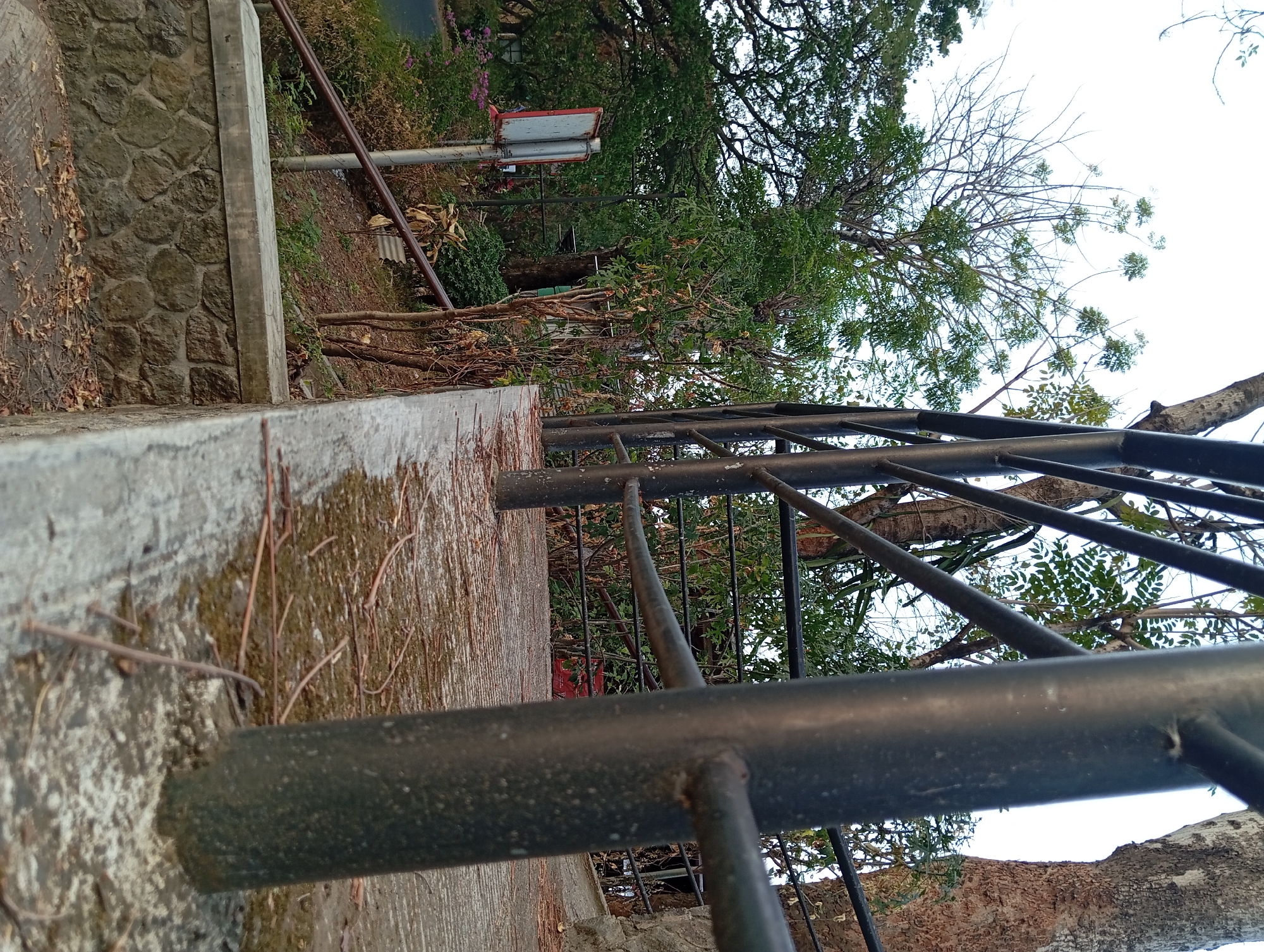 The image depicts a close-up view of a dark metal railing on a concrete surface. In the background, there are various trees with green foliage, some with bare branches. To the left, a road is visible with a traffic signpost. The ground is covered with fallen leaves and dry twigs. The scene appears to be outdoors in a park or along a walkway. The time of day seems to be either early morning or late afternoon due to the soft lighting. The location is identified as Karang Jati, Indonesia.