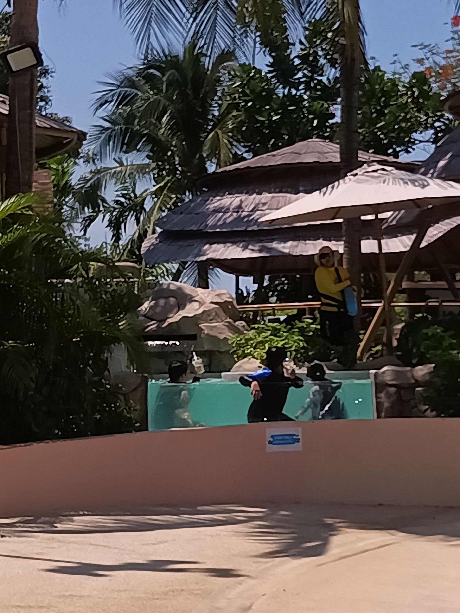 The image depicts an outdoor scene in Hua Hin City Municipality, Thailand. A group of people are observed inside a transparent enclosure filled with water, resembling a pool or aquarium. At least three individuals can be distinguished within the water, with one wearing a black wetsuit and holding a clear object. Adjacent to the enclosure, a person dressed in a yellow shirt and dark pants is standing on an elevated platform or deck, holding a blue item. The environment includes tropical vegetation such as palm trees, along with thatched-roof structures suggesting a resort or recreational area. An umbrella provides shade above the platform where the person in yellow is standing. A sign is visible on the wall of the enclosure. The foreground features a paved or sandy area.