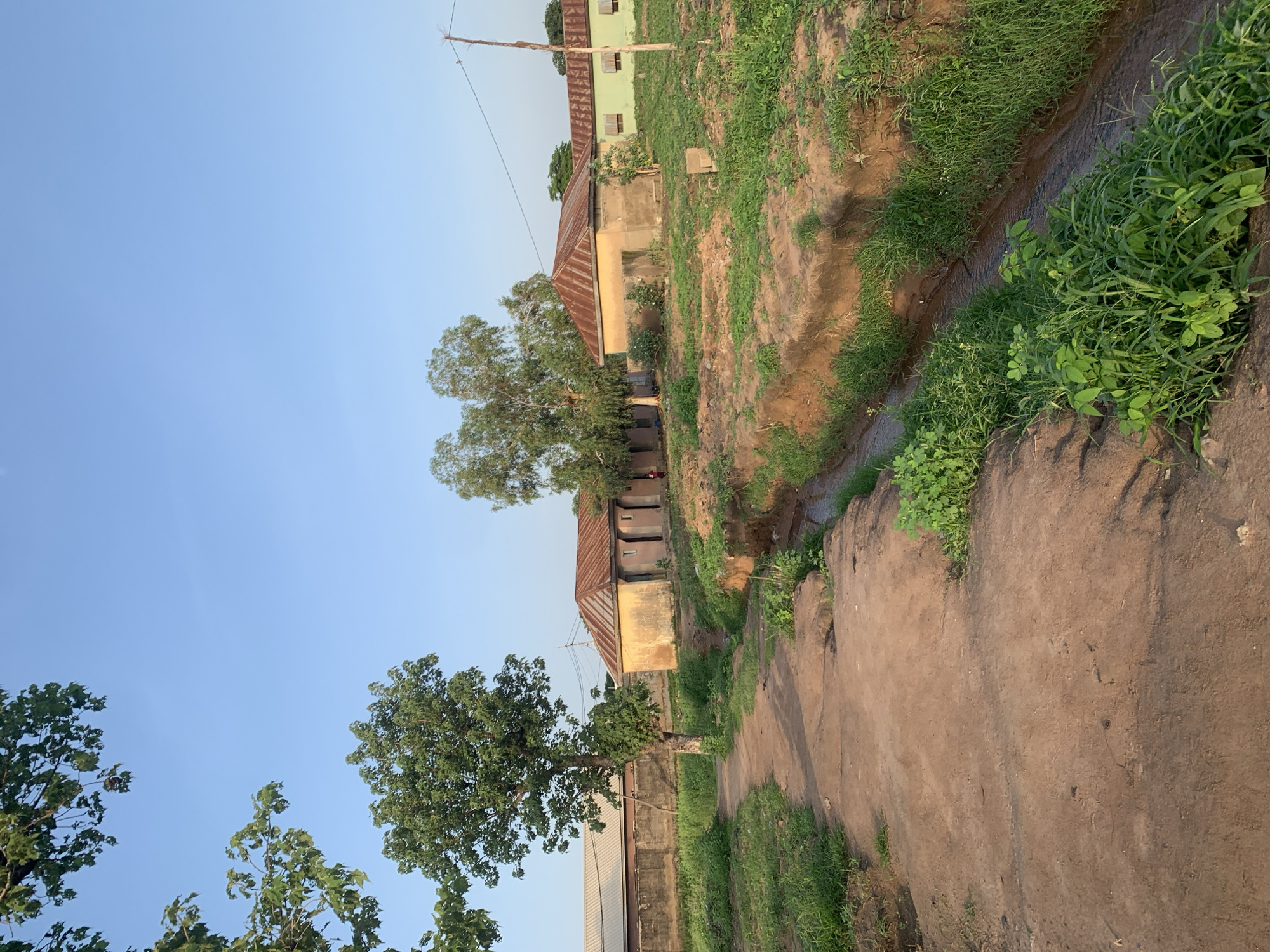 In Jalingo, Nigeria, a dirt path curves through a landscape of green vegetation and weathered buildings under a clear blue sky. To the left, a large tree with lush green leaves stands prominently, its trunk partially visible. In the background, a long, low building with a grey wall and a metal roof stretches across the frame. Adjacent to this, several smaller, older structures with yellow-ochre walls and rusty corrugated iron roofs are situated. A narrow, muddy stream flows through a cut channel in the foreground, flanked by tall green grass. The overall scene depicts a rural or semi-rural environment in Jalingo, likely during daylight hours, with a focus on the natural and built landscape.