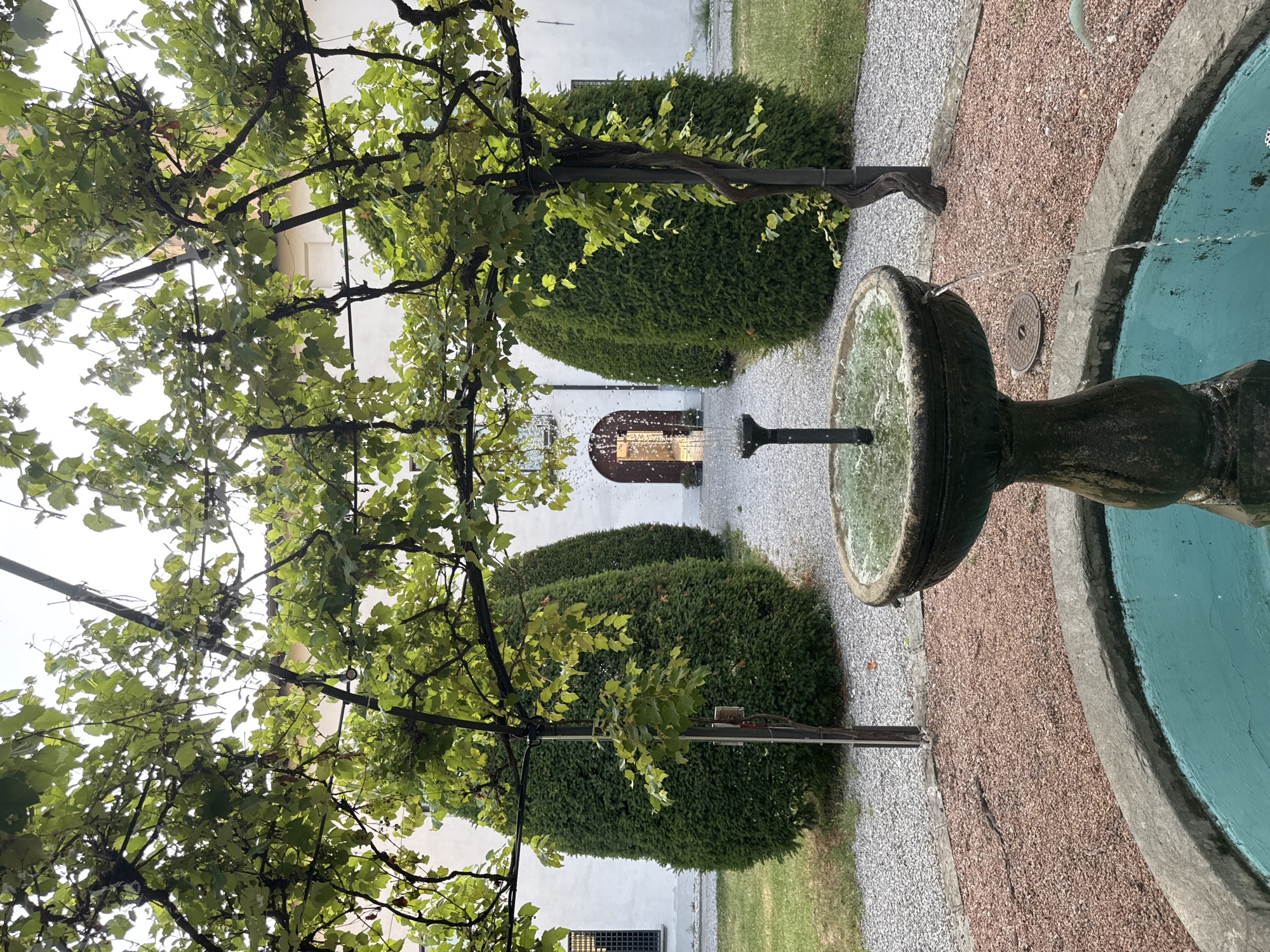 The image depicts a courtyard in Balerna, Switzerland. In the foreground, a weathered stone fountain with turquoise water is partially visible. Water streams from a central spout and spills over the fountain's rim into the pool below. The fountain is surrounded by a gravel pathway with reddish-brown pebbles.
Behind the fountain, two conical cypress trees stand symmetrically, flanking a gravel path that leads towards an arched doorway in the background. Overhanging the scene is a trellis covered in lush green grapevines, their leaves creating a dappled canopy. The walls of a building, painted white, are visible behind the cypress trees, with a barred window on the left and the arched doorway on the right. The overall impression is one of a serene, manicured garden space. There are no people visible in the image.