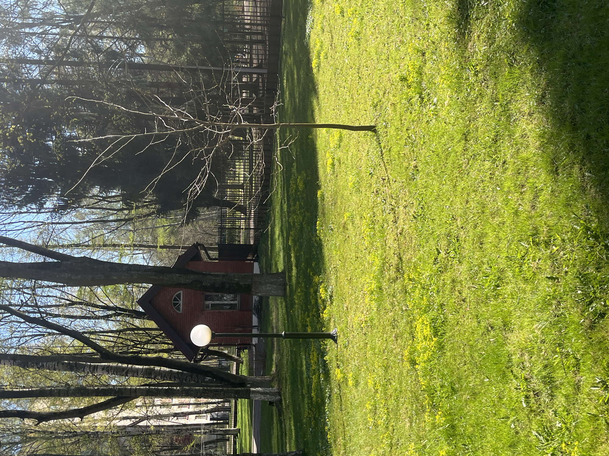 The scene captures a landscape in a location identified as "Unknown, Unknown." Predominantly, the image showcases a verdant, sunlit lawn with scattered yellow wildflowers. A small, red-painted wooden cabin stands nestled among trees. A bare tree, with no leaves, is also visible. A white, spherical lamp post is positioned near the cabin. The background includes a view of a fence and a dense forest. The angle of the shot is slightly skewed, suggesting it may have been taken while rotating a phone.