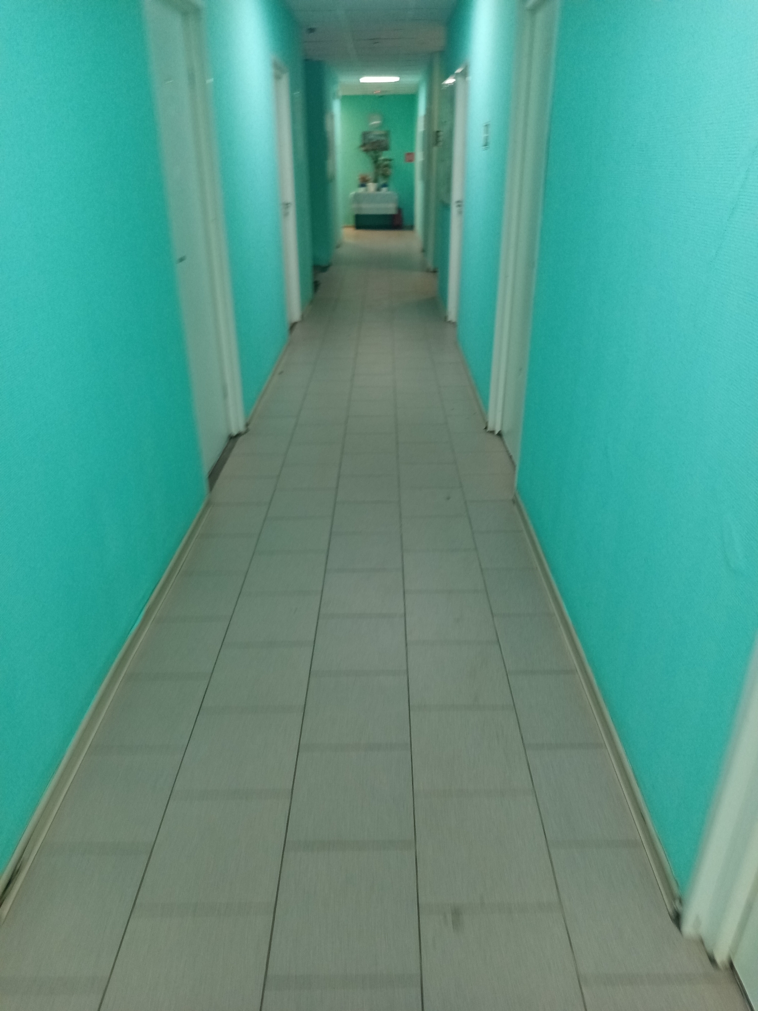 The image depicts a long, narrow hallway with turquoise walls and a tiled floor. Doors are visible on both sides of the hallway. At the far end of the hallway, a table with items on it can be seen. The lighting appears to be artificial, coming from overhead fixtures. The scene is devoid of people. Based on the available information and the provided context, this hallway is likely located within a building in the city of Selyatino, Russia.