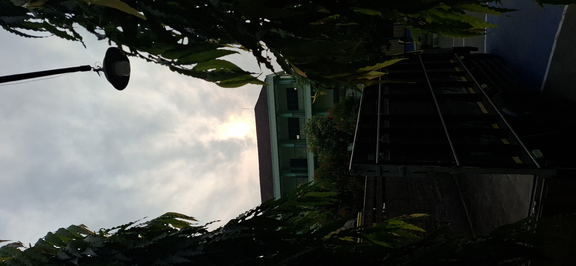 The image captures an outdoor scene, likely in the city of Wonorejo, Indonesia, during a cloudy day with the sun partially visible through the clouds. In the foreground, on the left and right sides, the dark green foliage of trees frames the view. A dark-colored truck, possibly a flatbed, occupies the middle ground, its rear section visible and appearing to be stationary. Behind the truck, a light green, multi-story building stands, featuring balconies with dark railings and numerous windows. The sky is overcast, with patches of brighter sky where the sun is attempting to break through. A street lamp hangs from a dark pole in the upper right portion of the frame, its light bulb exposed. The ground appears to be a paved surface, possibly a road or courtyard. No individuals are discernibly present in the image.